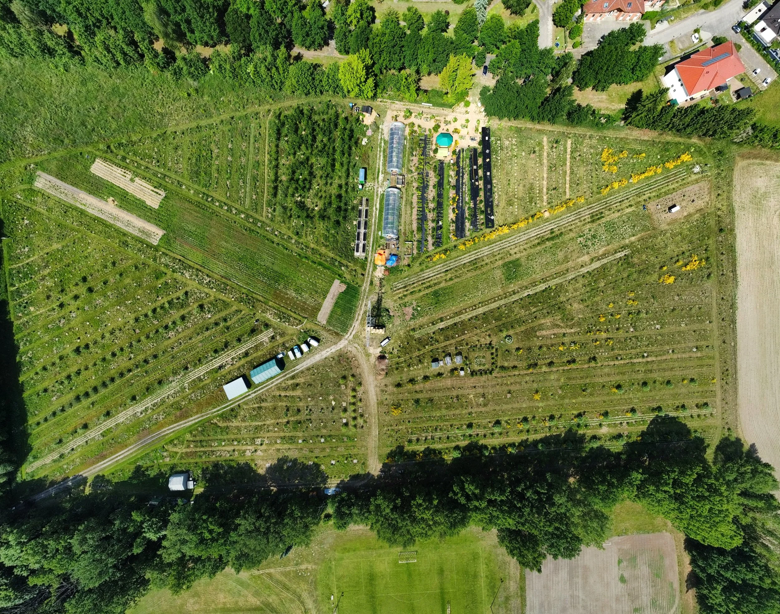 Luftaufnahme eines Gartens mit Gemüsegarten, Gewächshäusern, Blumenbeeten und umgebenden Bäumen.