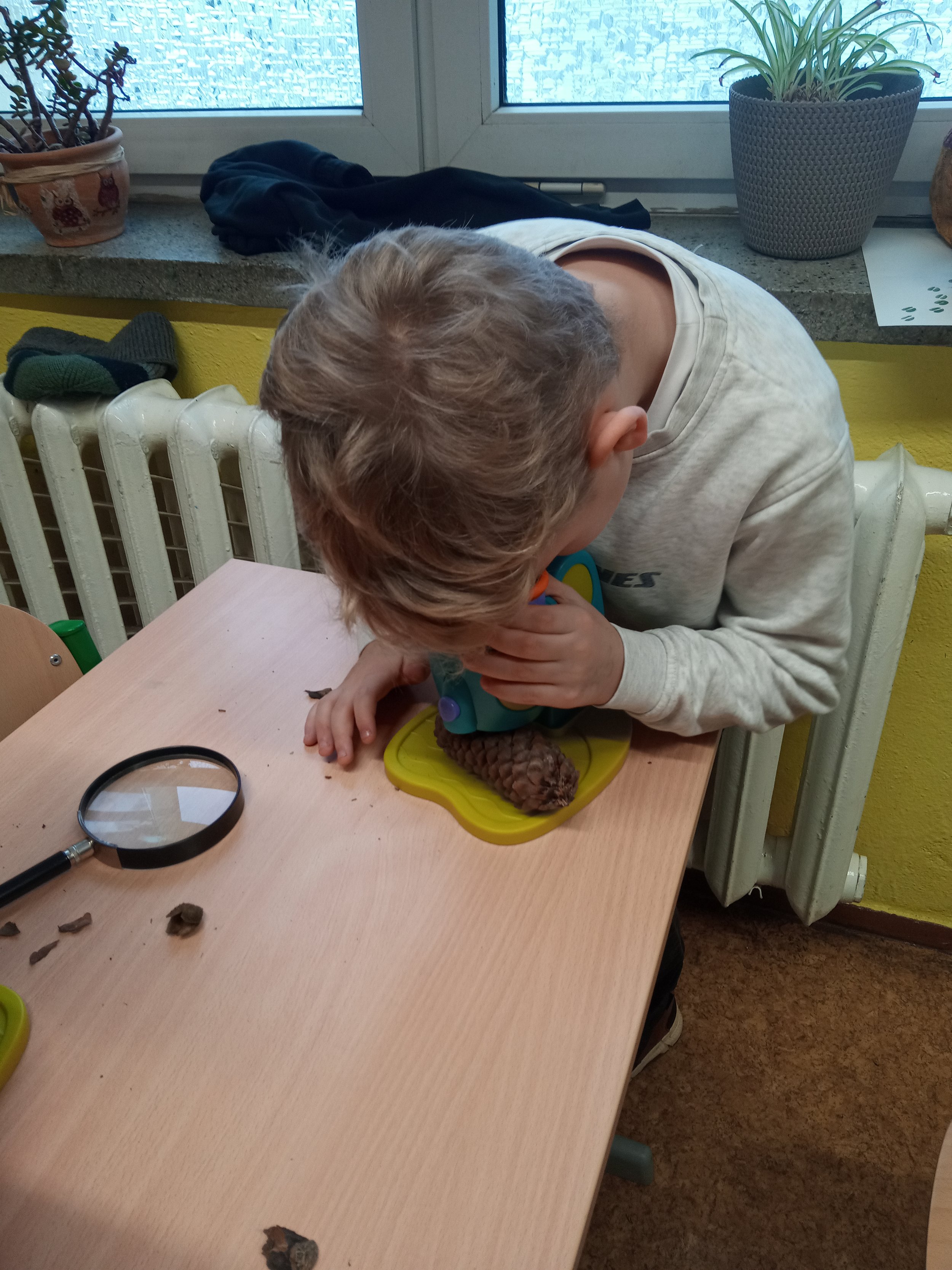 Ein Junge sitzt an einem Tisch und betrachtet ein Objekt durch eine Lupe, mit einem Spielzeugschwein auf einem Teller vor sich.
