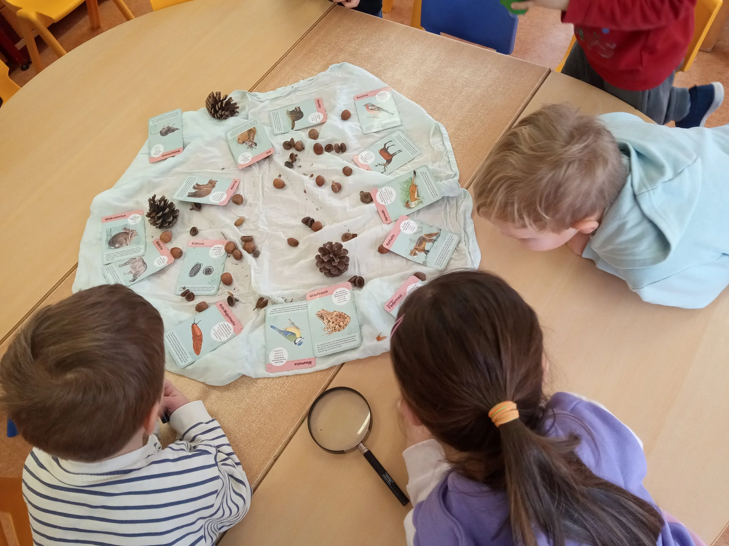 Mehrere Kinder betrachten eine Tafel mit Tierbildern und Beschreibungen auf einem weißen Tuch, die anscheinend ein Lern- oder Entdeckungsspiel darstellen.