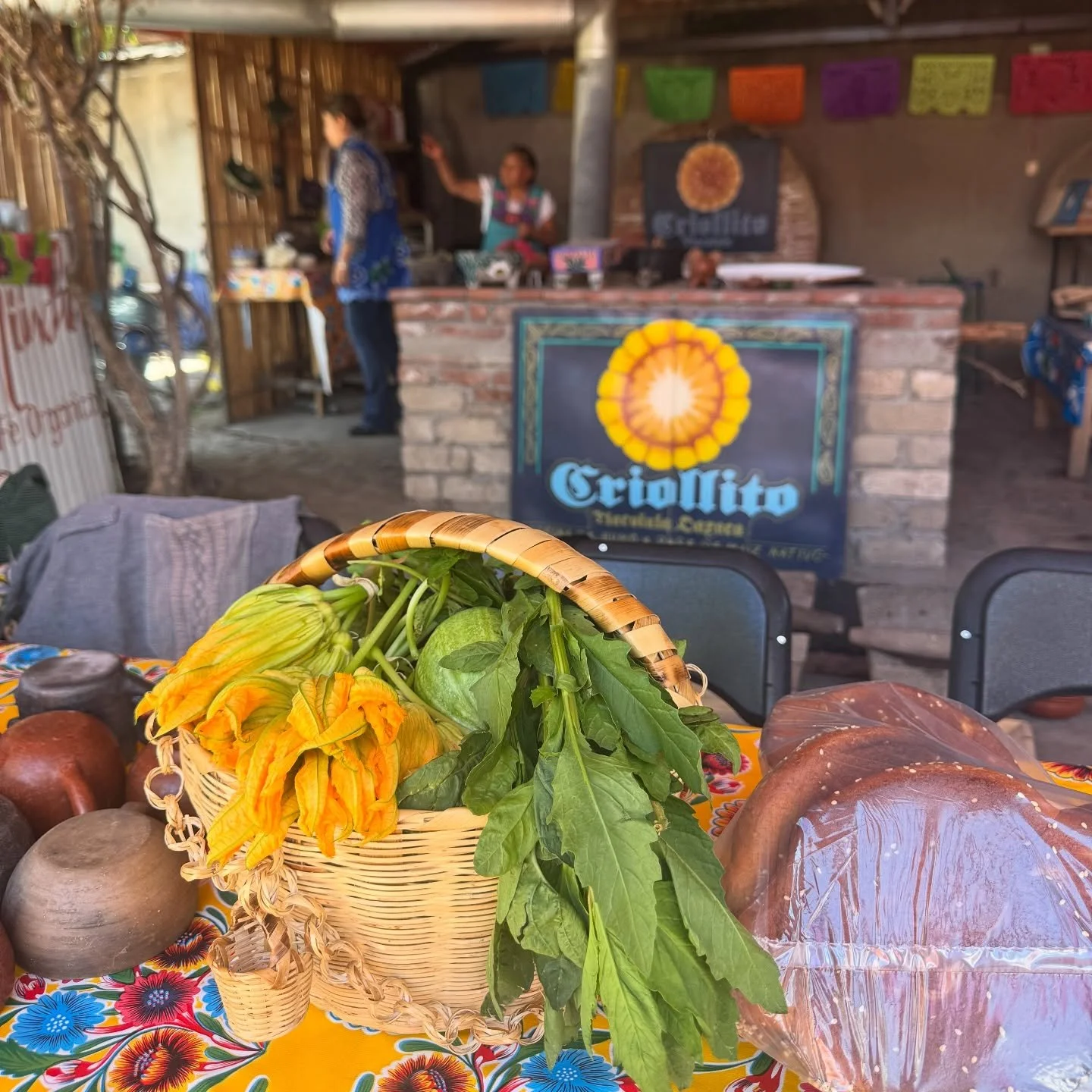 Our rainbow tortilla class with @criollito_tlacolula 🌈 We ground different ingredients in a metate to add to our mass to create a rainbow of colors. End product was beautiful and delicious! Wish we would've taken more pictures but we were too busy e