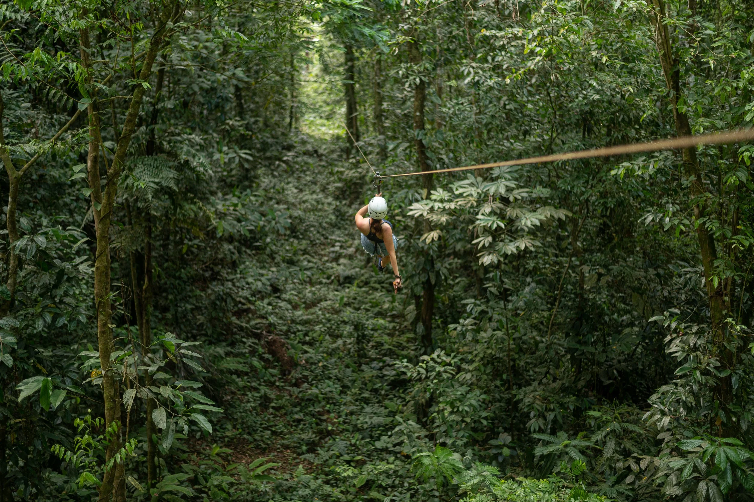 A person wearing a helmet ziplining through a dense green forest.