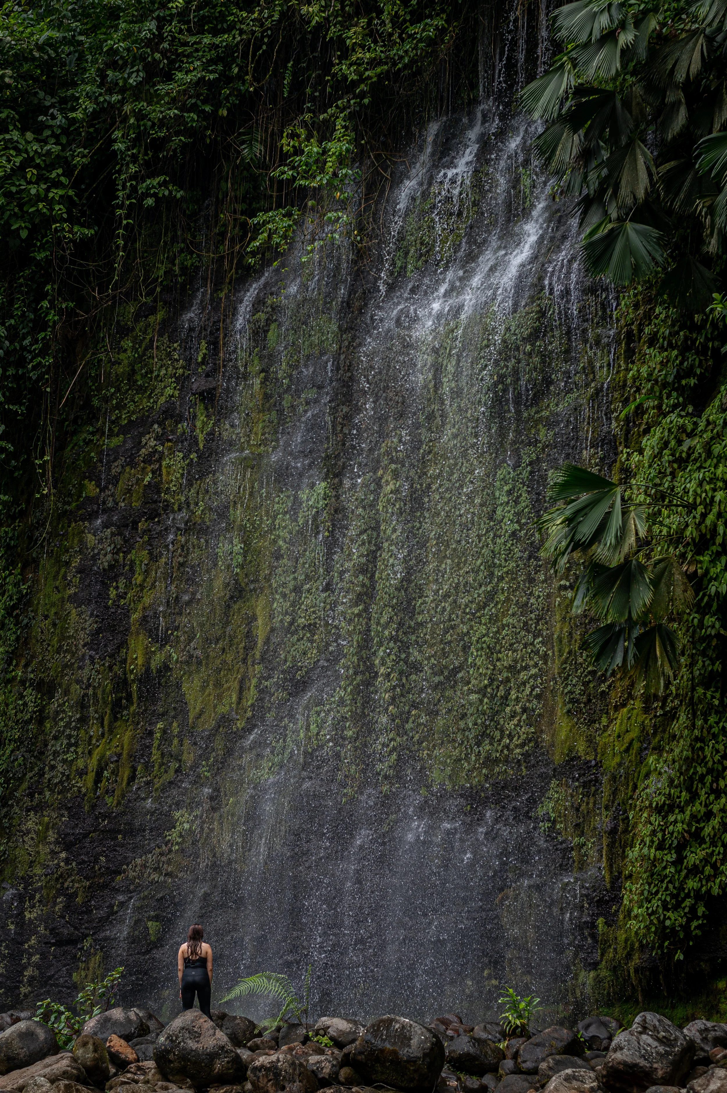 A person standing in front of a large waterfall in a lush, green jungle with rocks at the bottom.