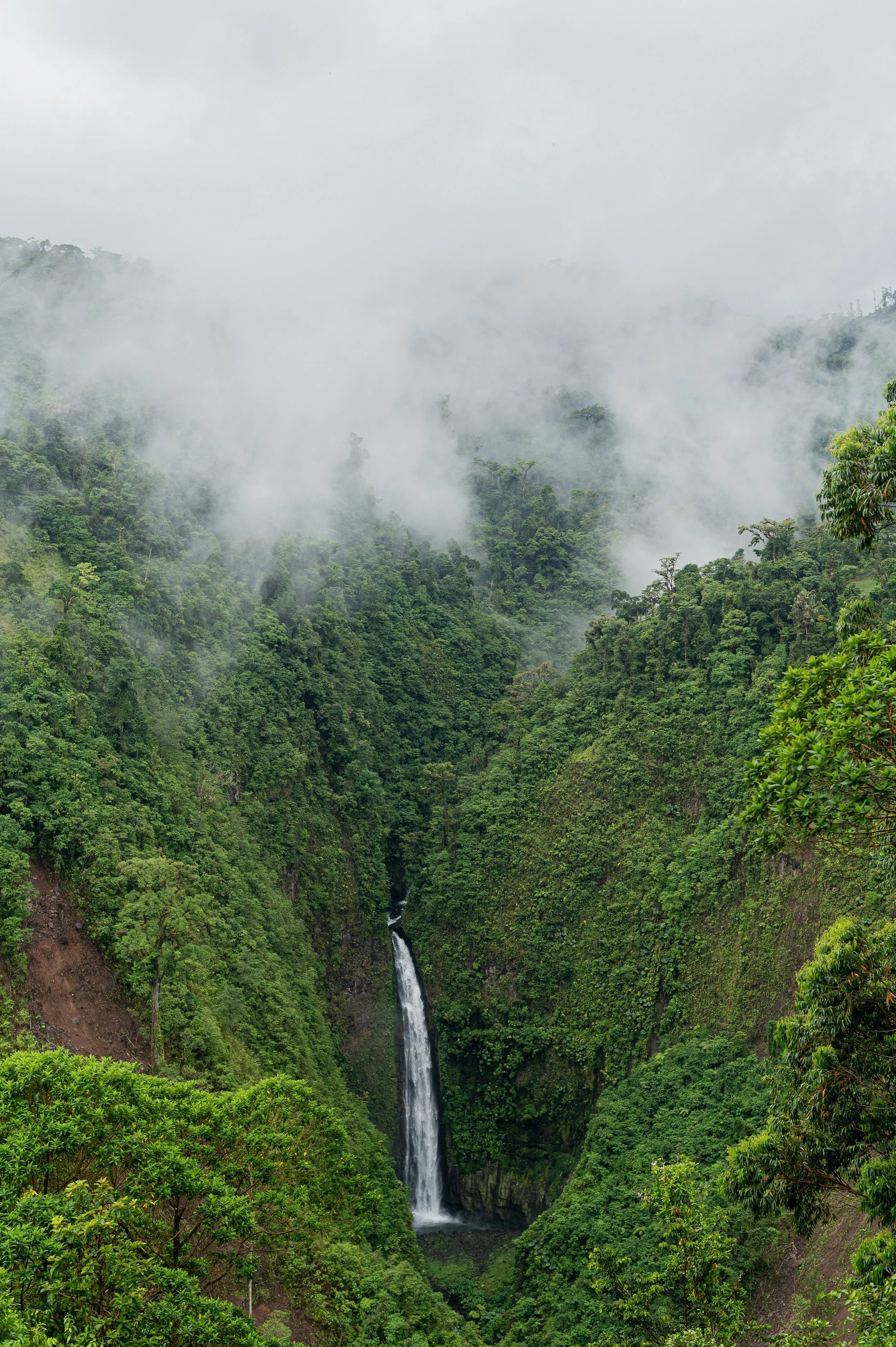 A lush green forested mountain valley with a waterfall cascading down a cliff and mist rising from the forest.