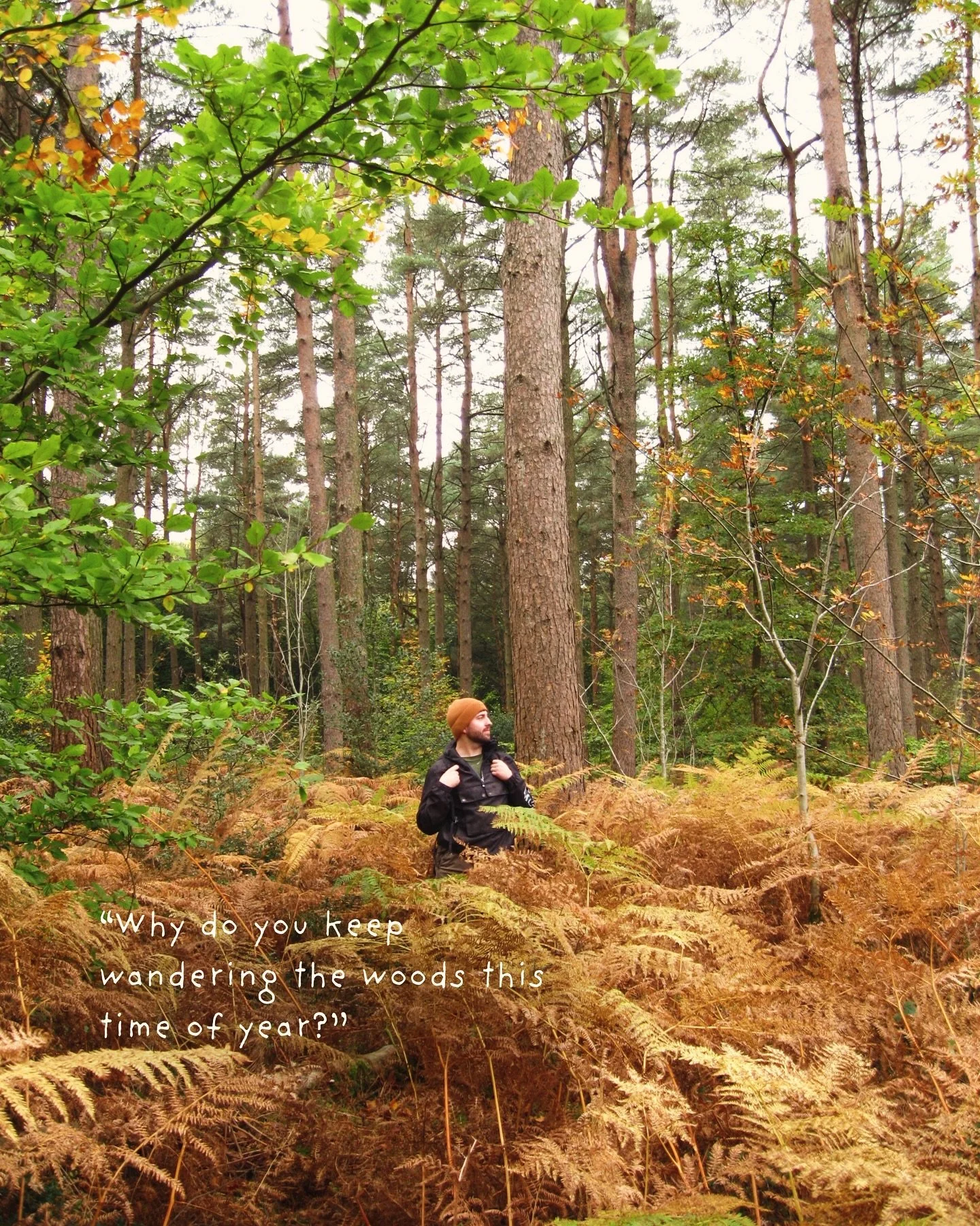 Currently out of office: 
Mushroom season&rsquo;s calling 🍄

&mdash;
Journey further, Impact 🥾

#uk #hiking #activelifestyle #outdoorsy #forrest #journeyfurtherimpactless