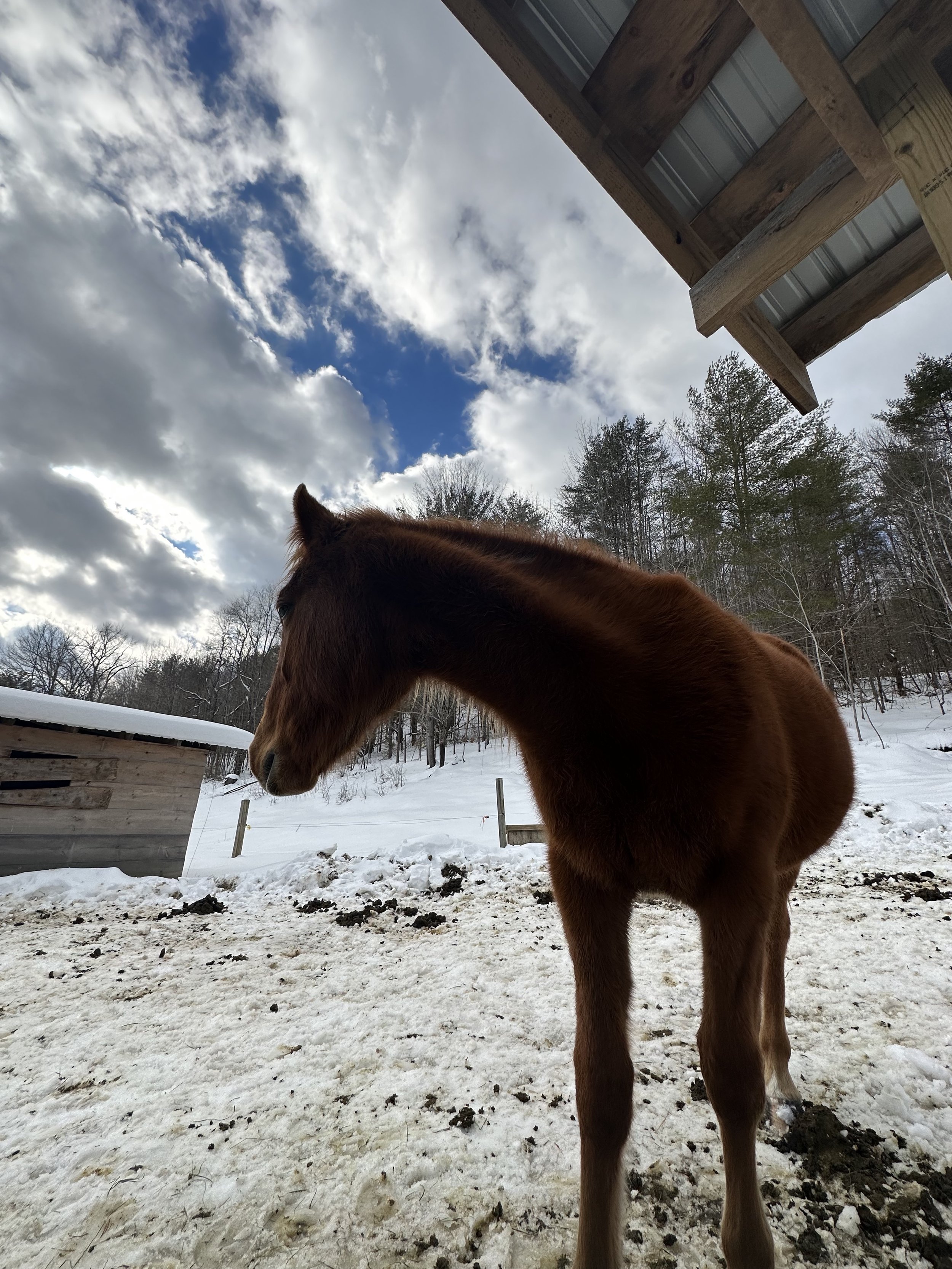 8E134427-081F-43F1-AF76-D766AA8FA2D4.jpeg