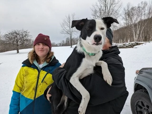 She loves to hang around the farm