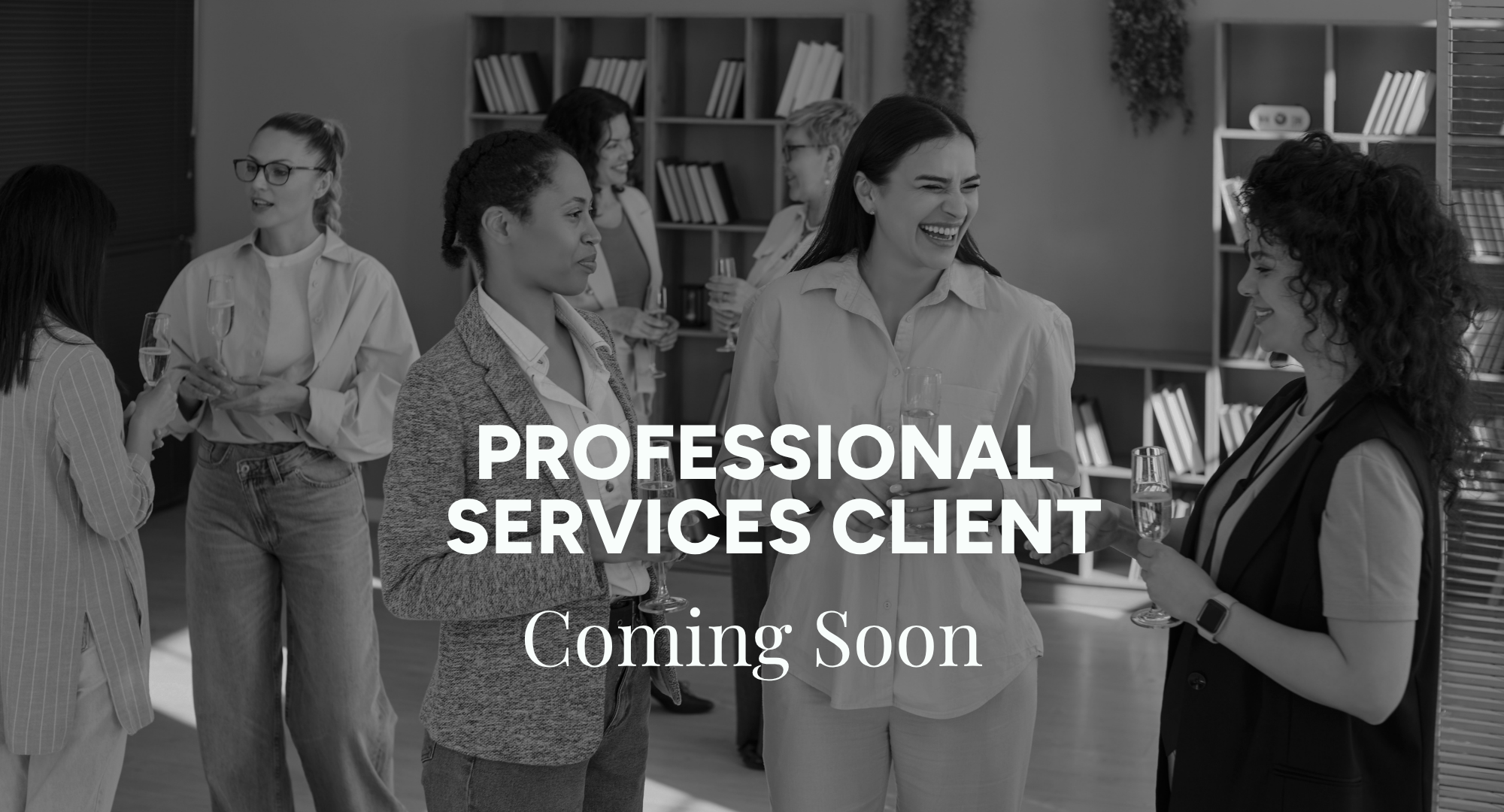 Professional Services Client: Coming Soon