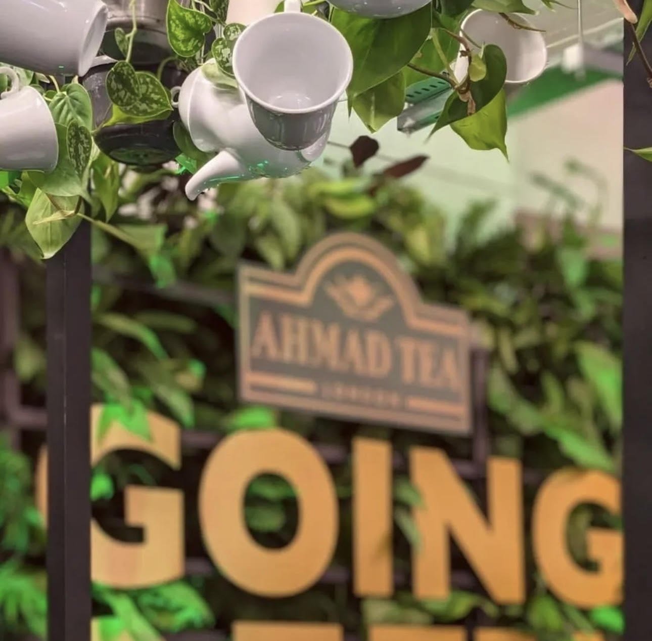 Jungle X Ahmad Tea.jpg