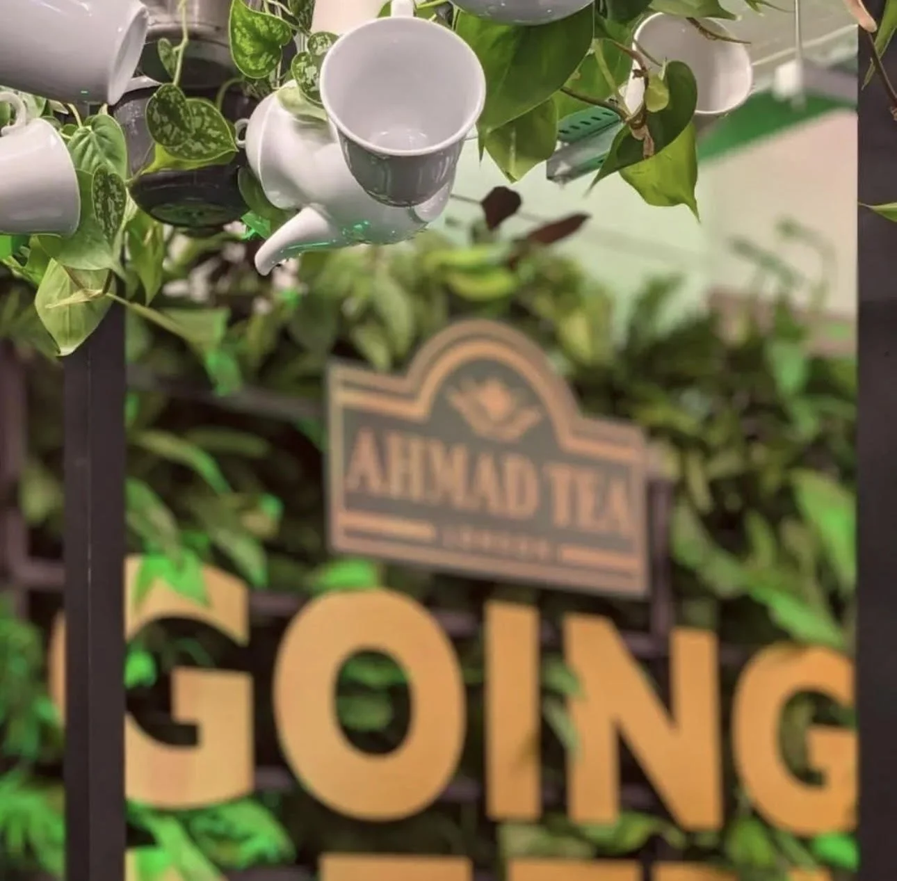biophilic brand activation for Ahmad Tea at The London Coffee Festival, Truman Brewery, Brick Lane London