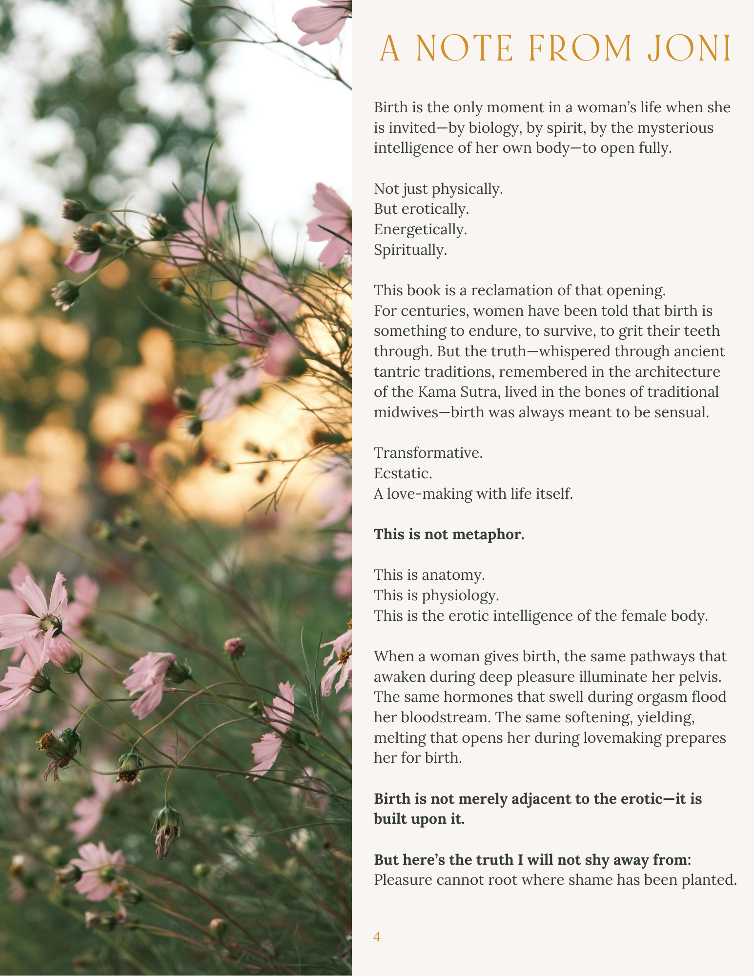 _Radical Remembering The Erotics of Birth (3).png