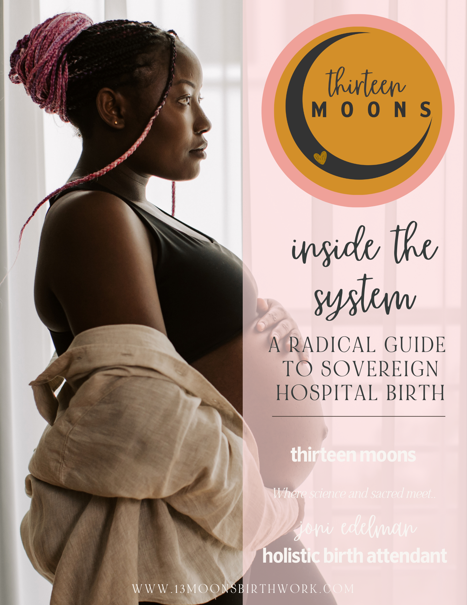 FIRST 2 CHAPTERS FREE: Inside the System: A Radical Guide to Hospital Birth