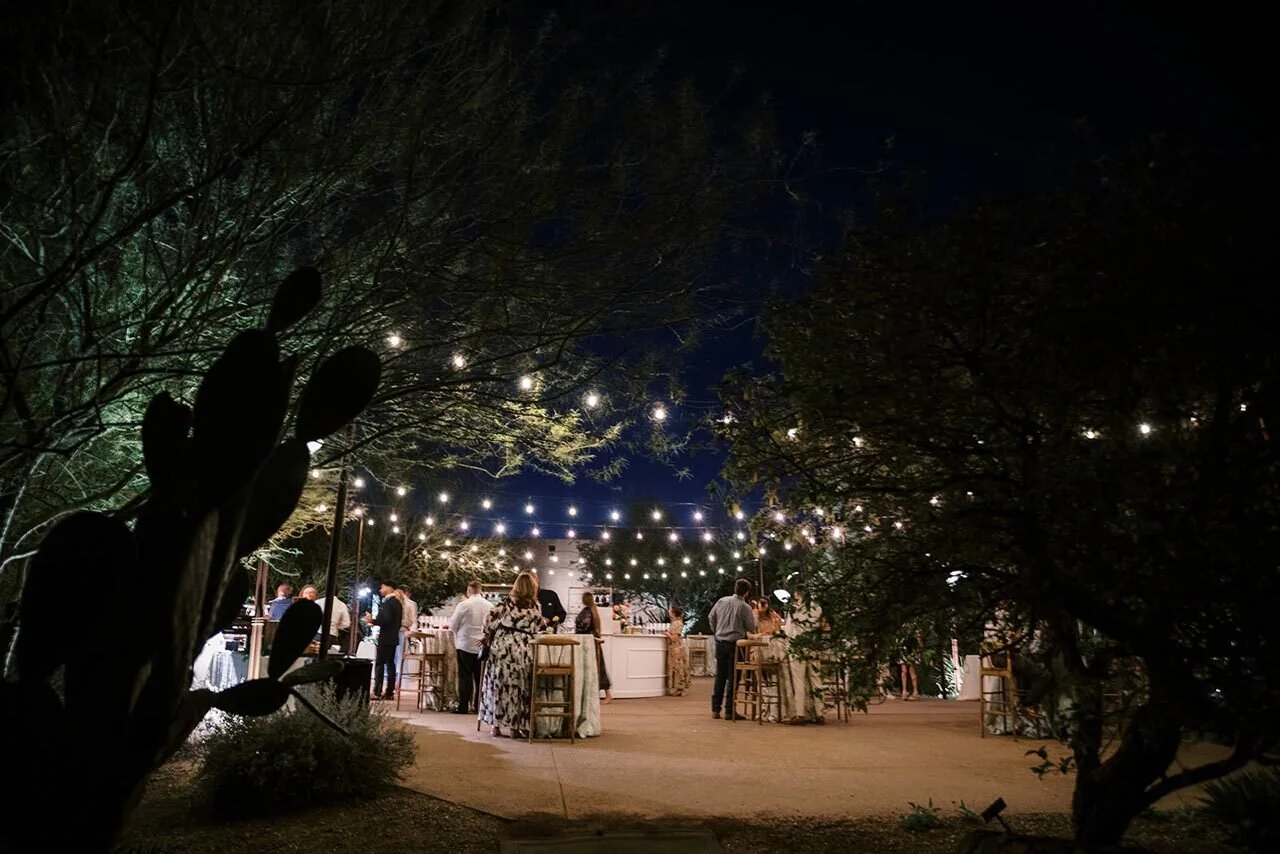 desert-botanical-garden-phoenix-night-wedding-reception-string-lights.jpg