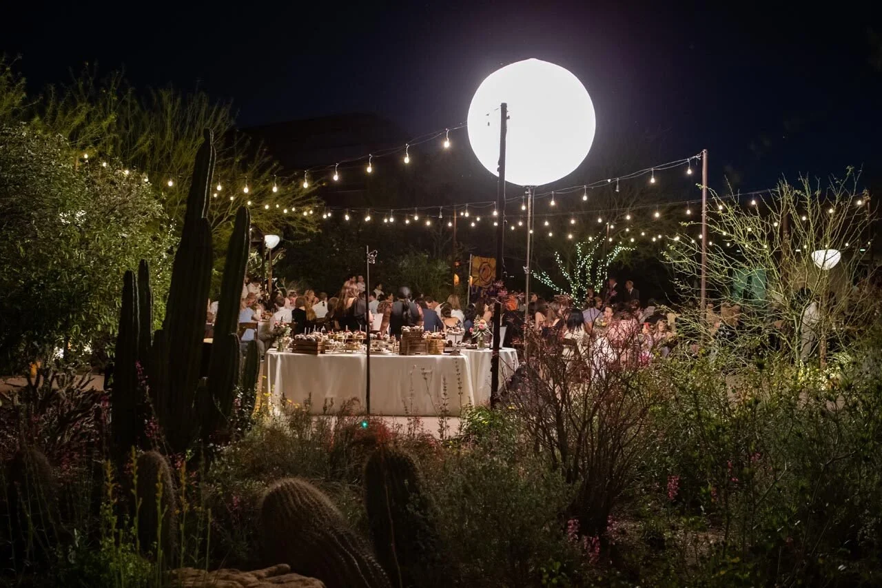 desert-botanical-garden-phoenix-night-reception-moon-light-cacti.jpg