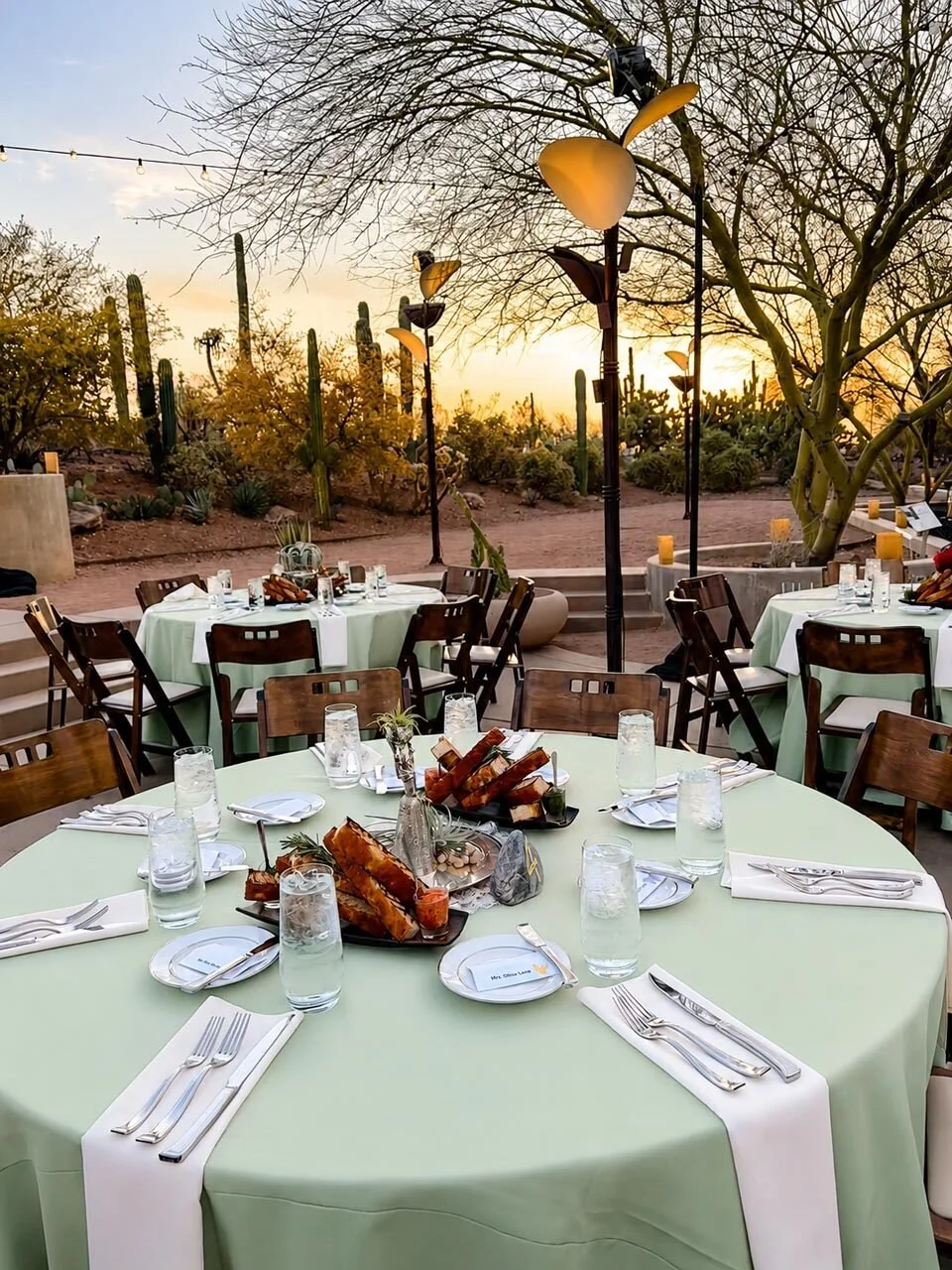desert-botanical-garden-phoenix-sunset-table-setting-cactus-view.jpg