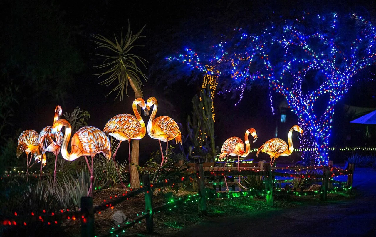 phoenix-zoo-zoolights-flamingo-lantern-display.jpg