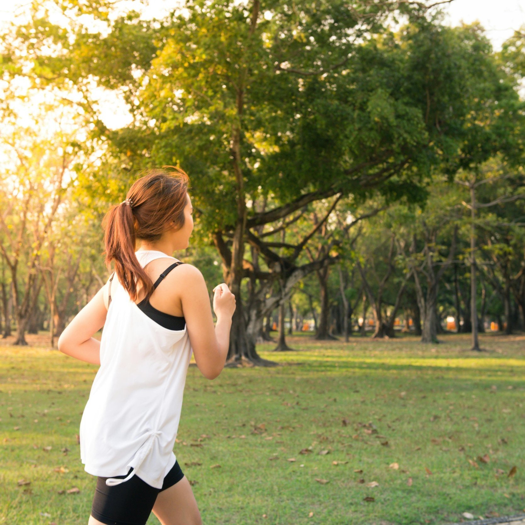 Mindful Walks: Exploring Beautiful Green Spaces Near our Westside Therapy Office