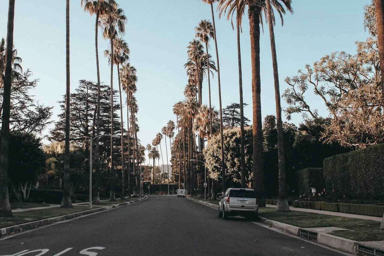 a street lined with palm trees in los angeles representing healing trauma with emdr therapy los angeles