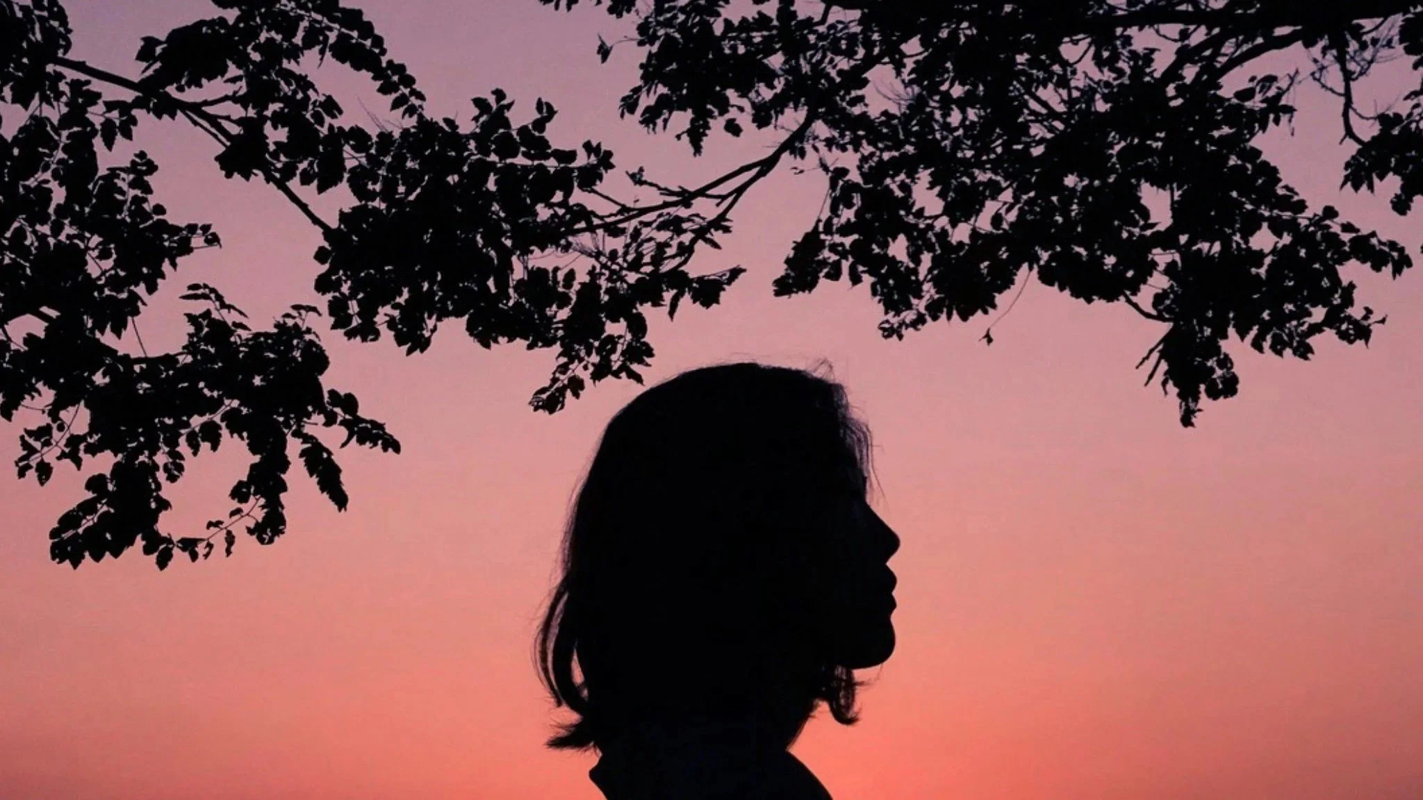 Silhouette of a woman's head representing how trauma memories are stored and reprocessed in EMDR therapy