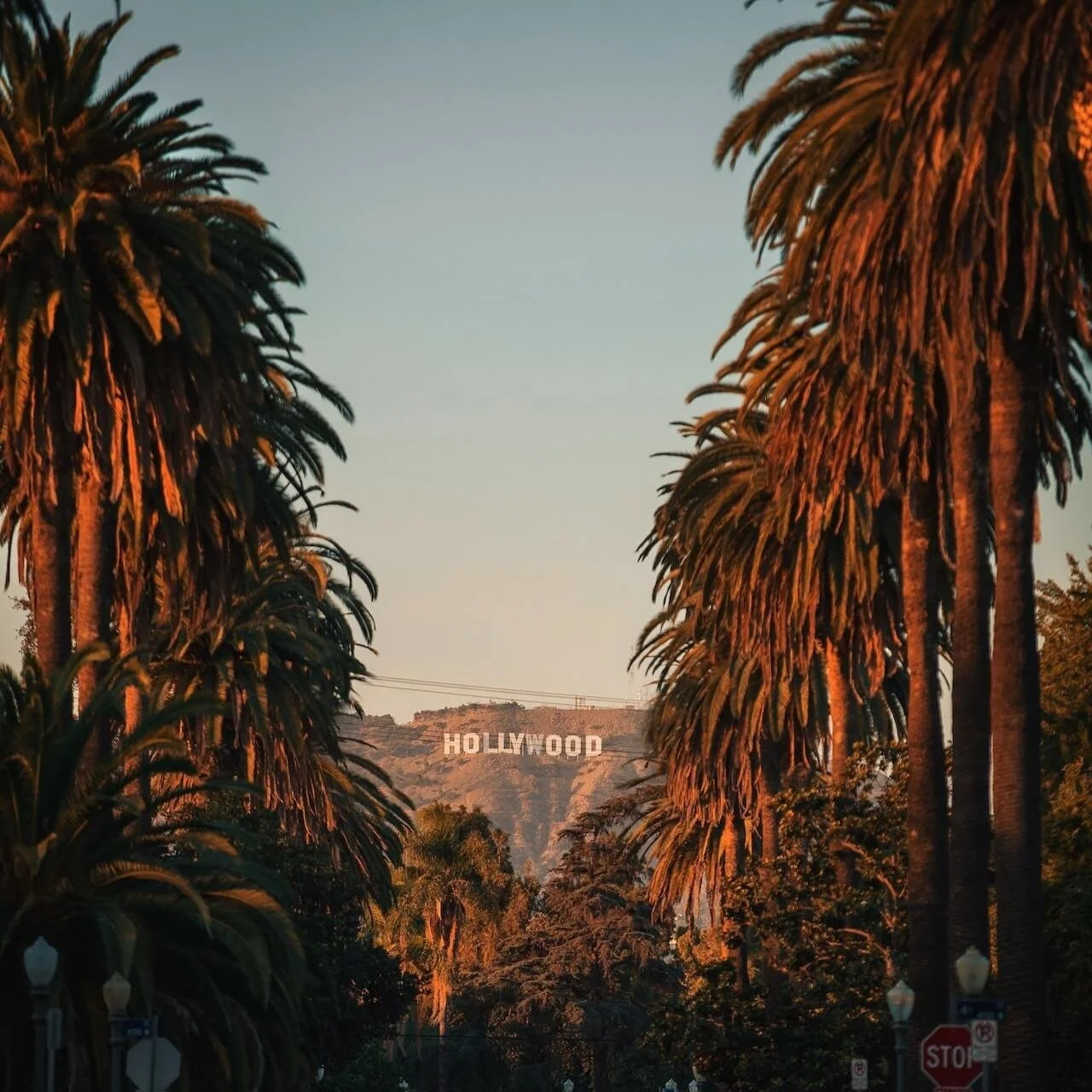 a view of the hollywood sign in los angeles framed by palm trees representing a city whose resilience is strengthened by the la marathon in los angeles and the hope offered by emdr therapy