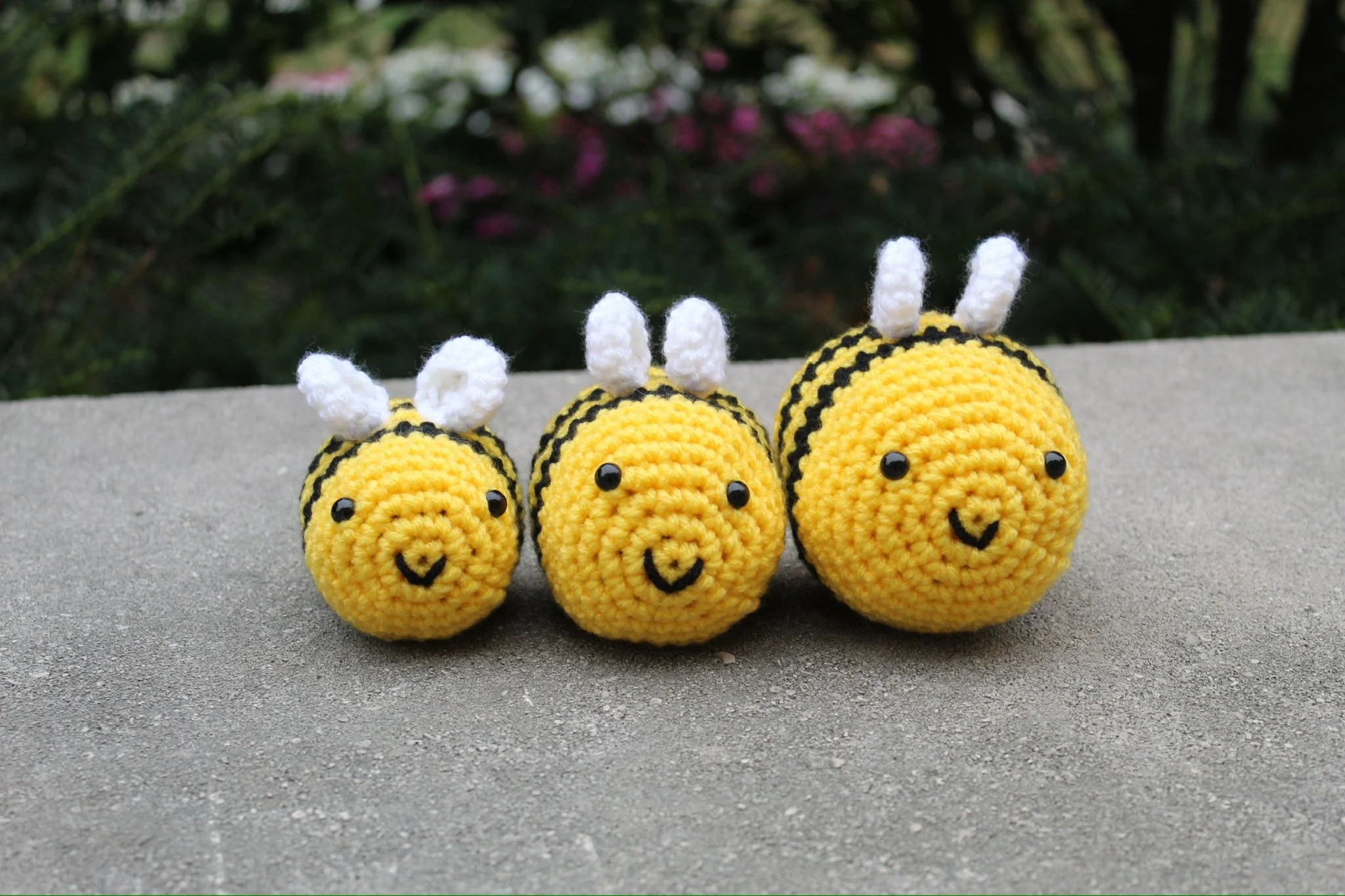 Bee sizes.jpeg