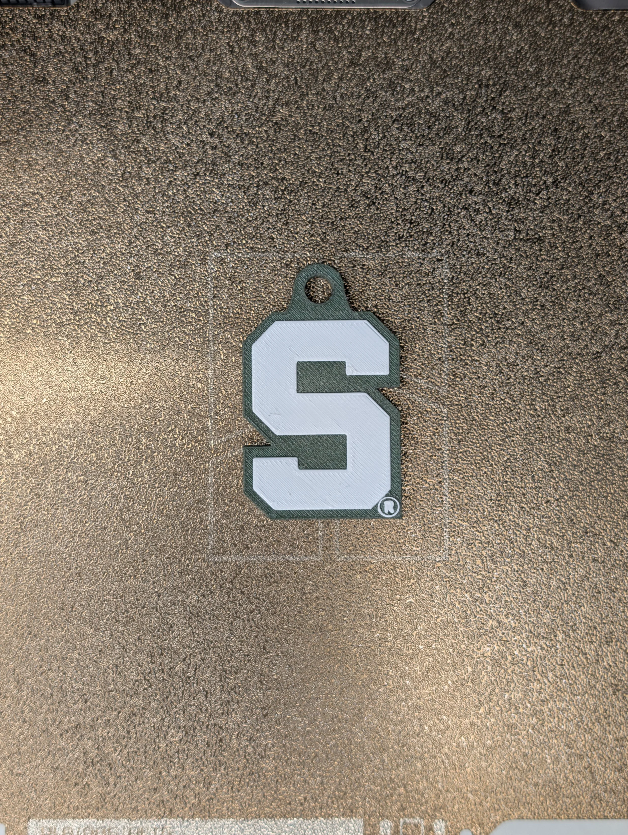 Big S(1).jpg