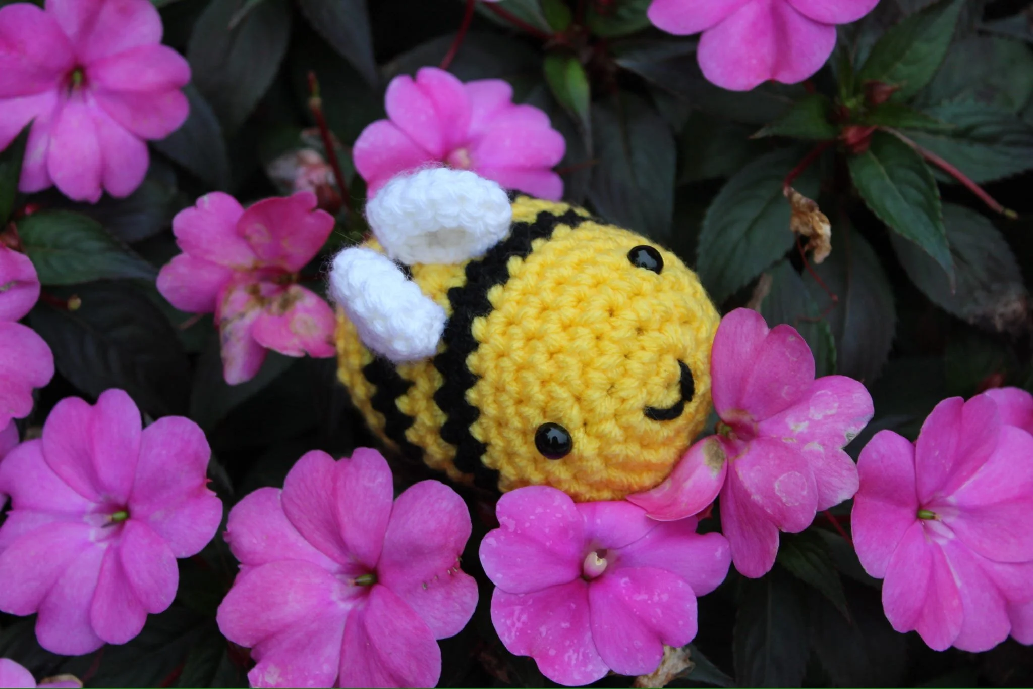 Small bee in flowers.jpeg