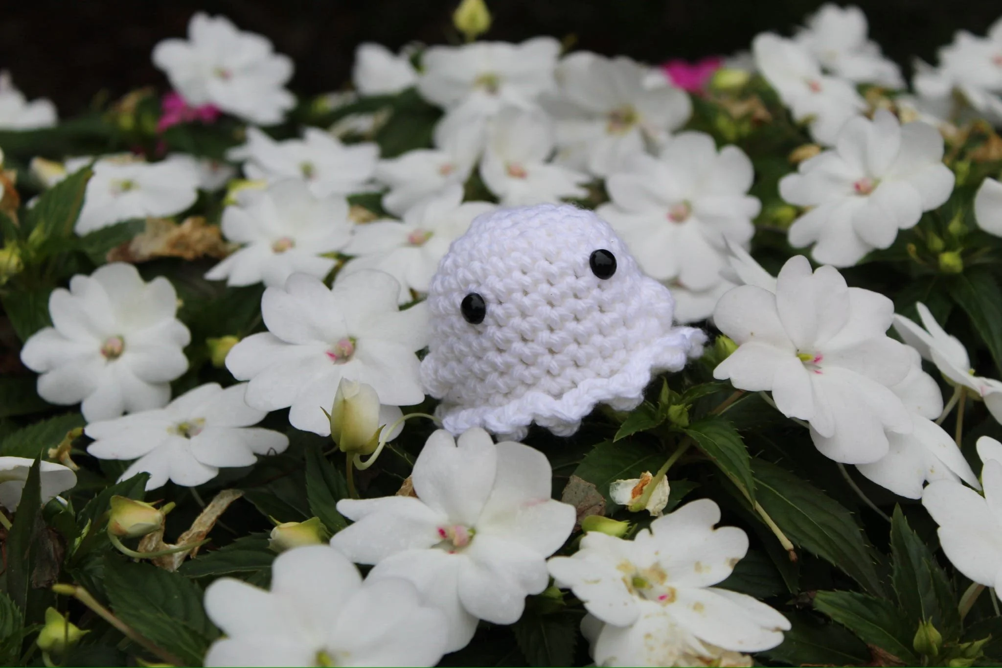 Ghost in white flowers.jpeg