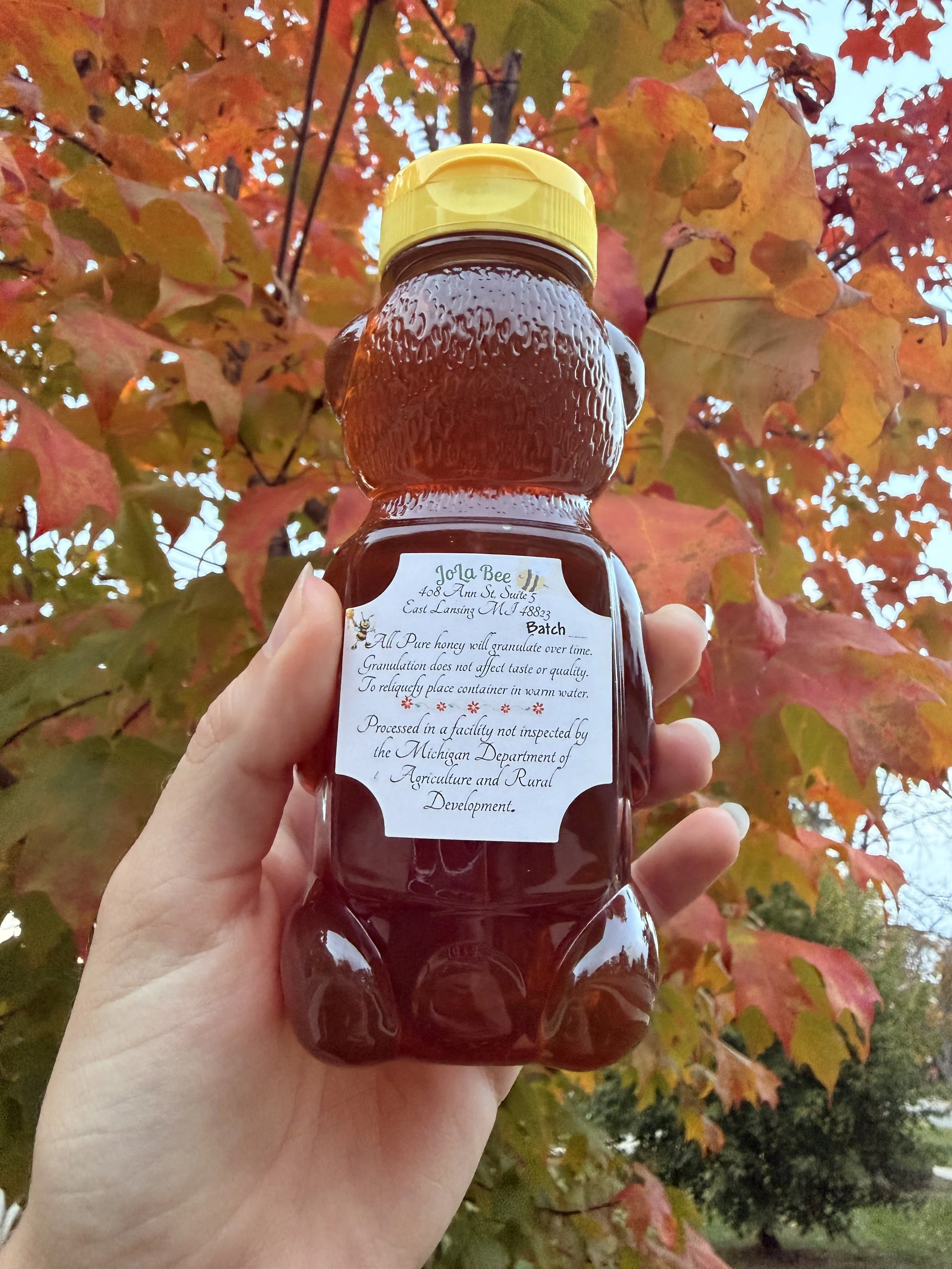 Honey-bear-photo-2.jpg