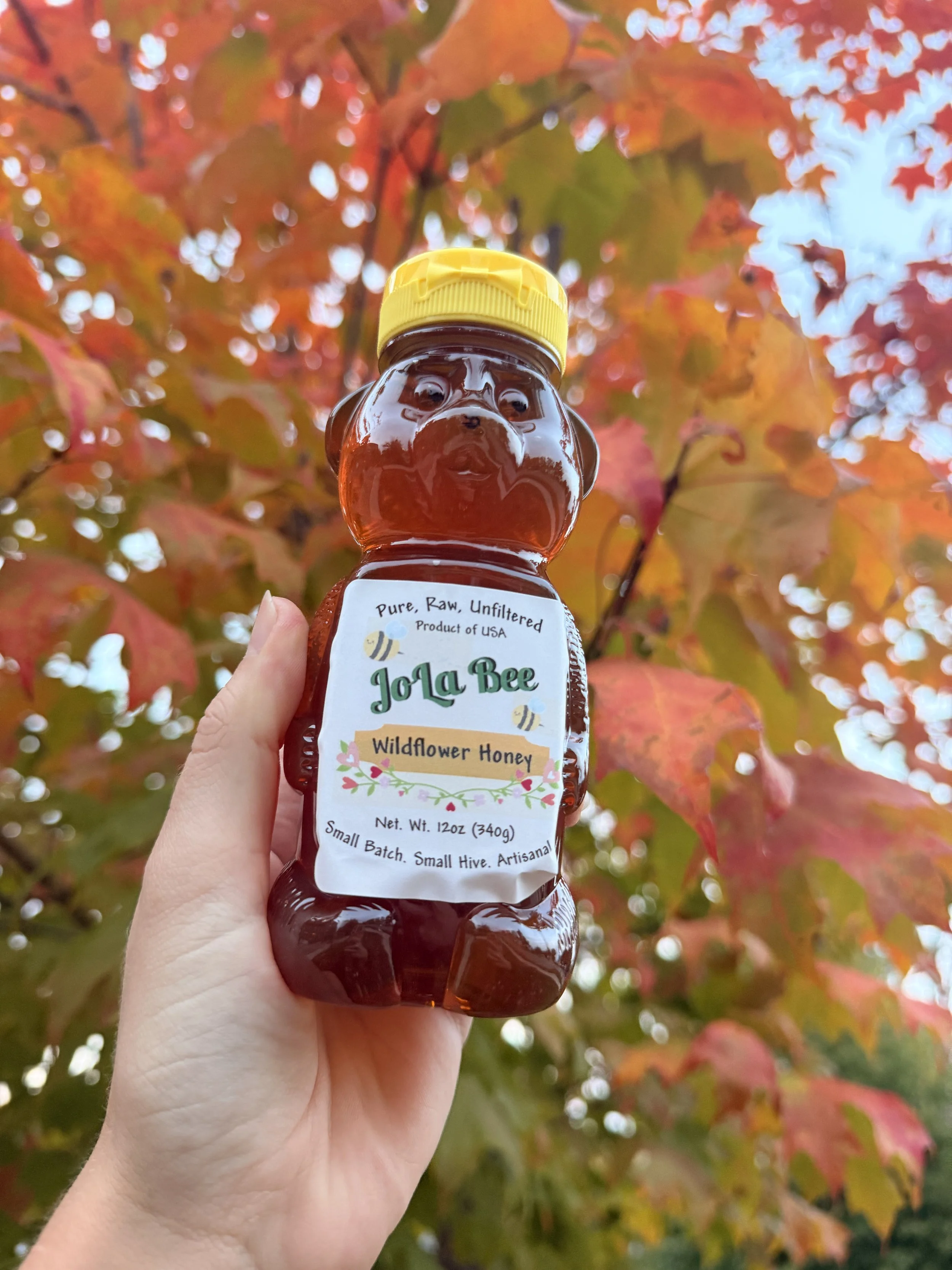 Honey-bear-photo-1.jpg