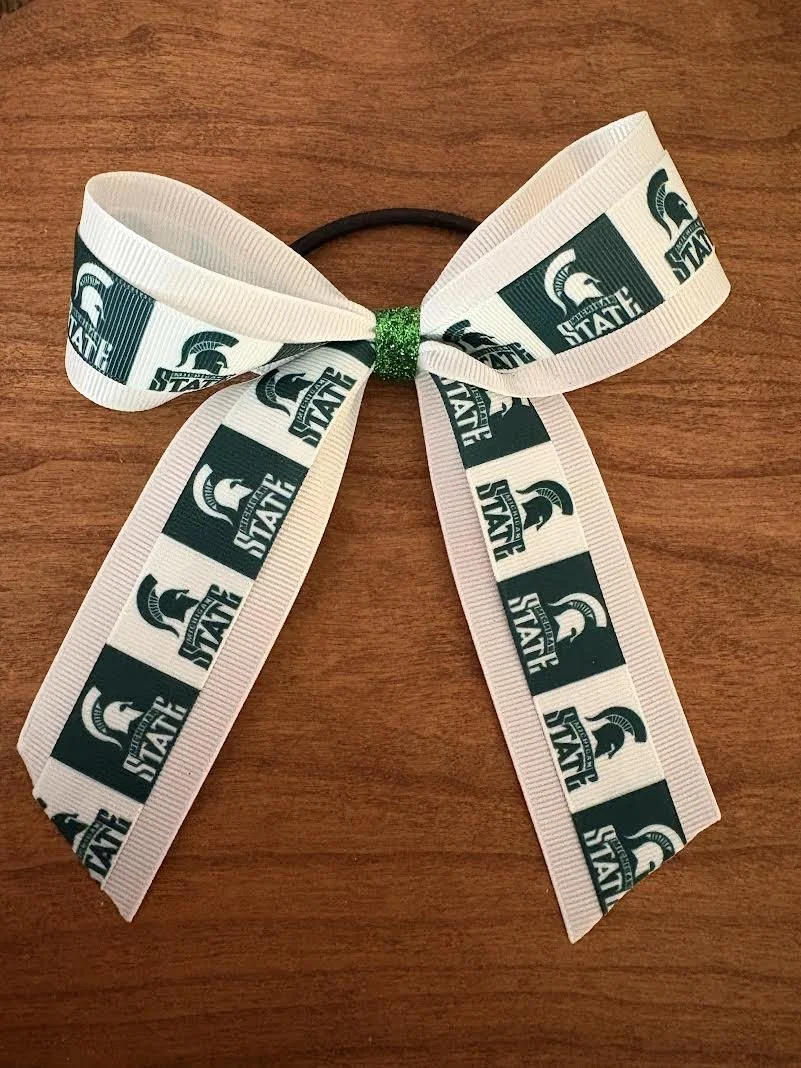 MSU Checker Bow