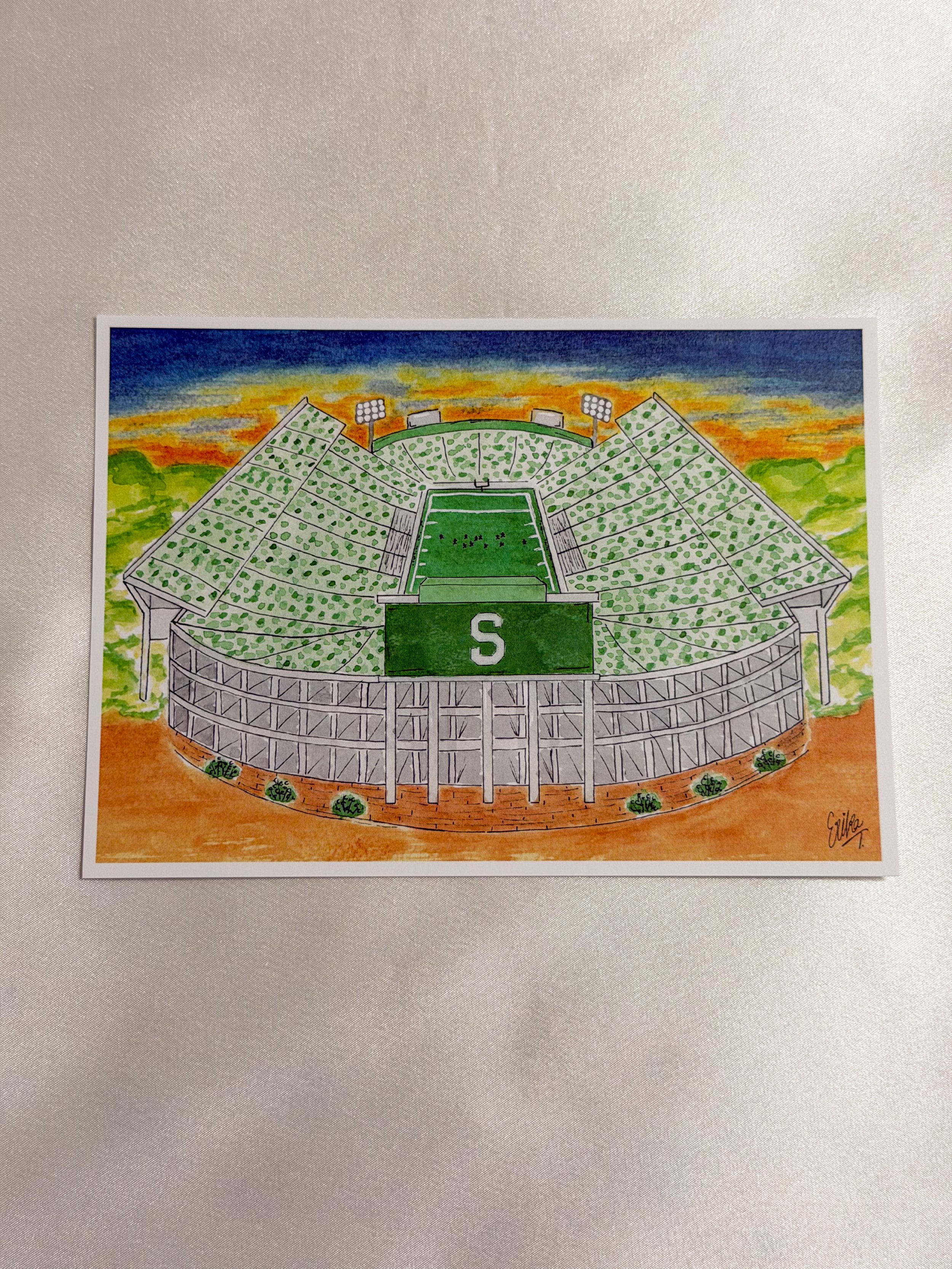 Spartan Stadium Print