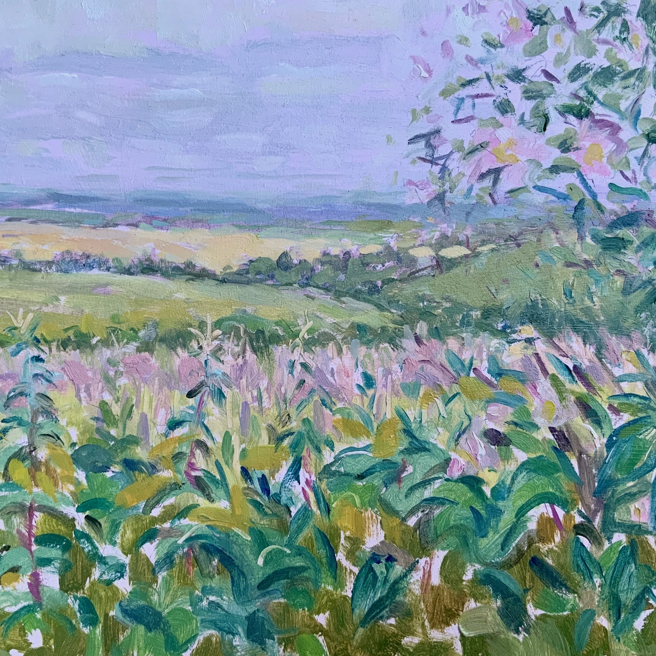 Wild Roses & Views from The Ridgeway - Available £250
(Oil on Board 23 x 21 cm)