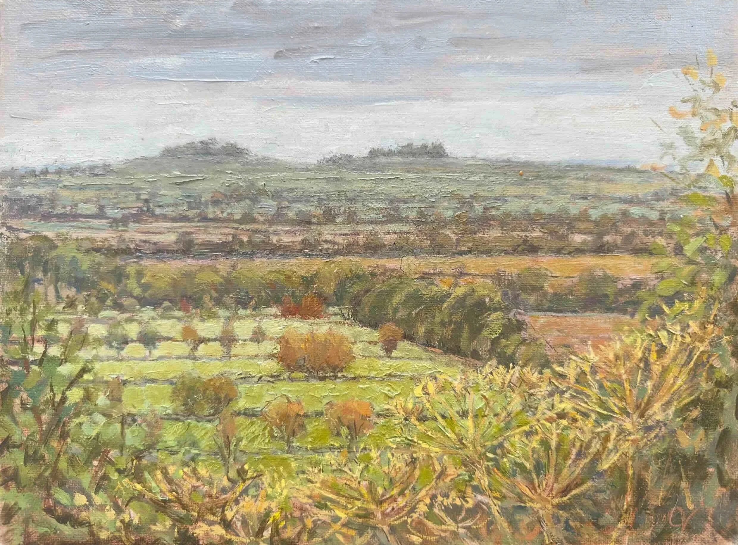 Autumn Landscape to Wittenham Clumps - Available £350 
(Oil on Canvas board 30 x 23 cm)
