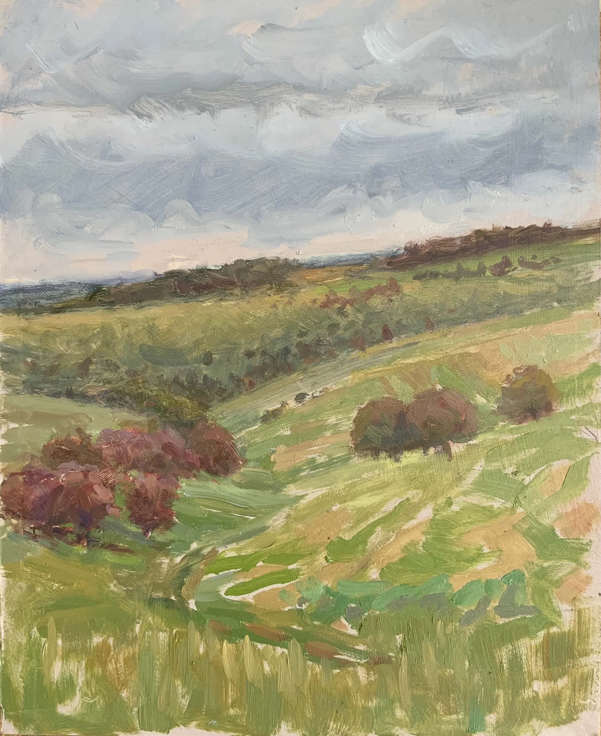 Autumn view of Juniper Valley *sold*
Oil on board