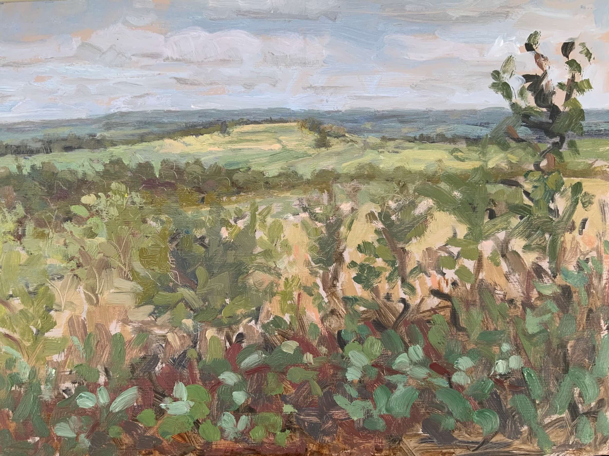 Autumn View to Blewburton Hill - Available £300
(oil on board 30 x 21 cm) 