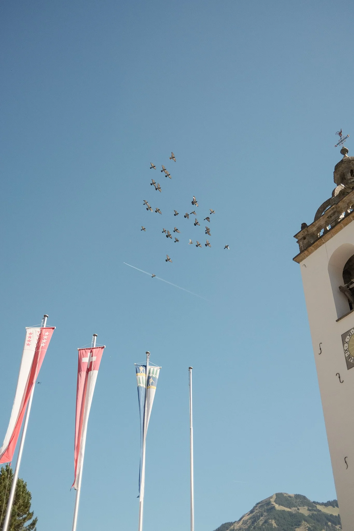 DSCF7889.jpg