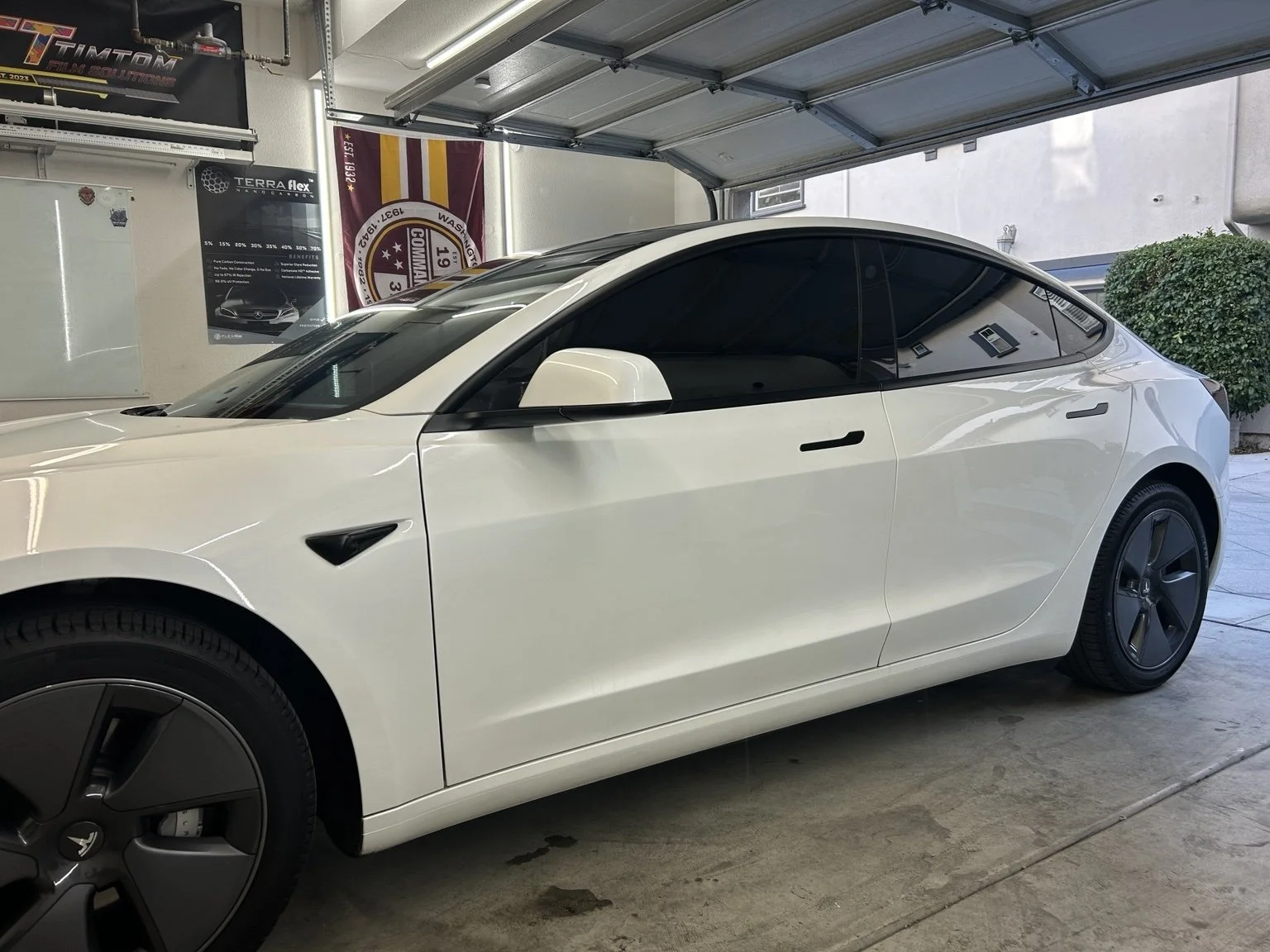 tesla_image_converted.jpg