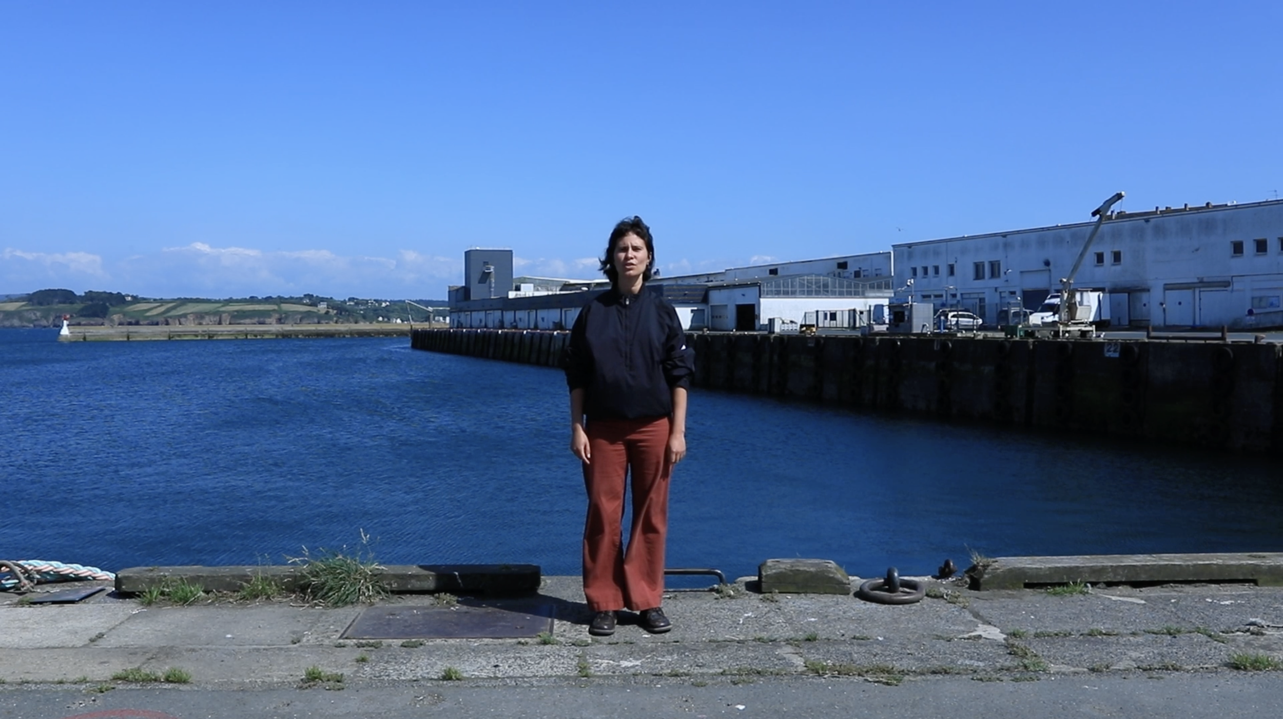 Alexiane Trapp, Penn Sardin, 2025, photogramme1 © Adagp copie.png