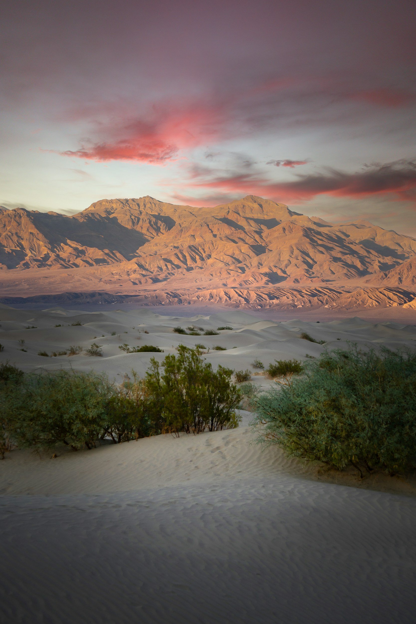 Desert landscape with sand dunes, green bushes, mountain range in the background, and a colorful sky with pink clouds.