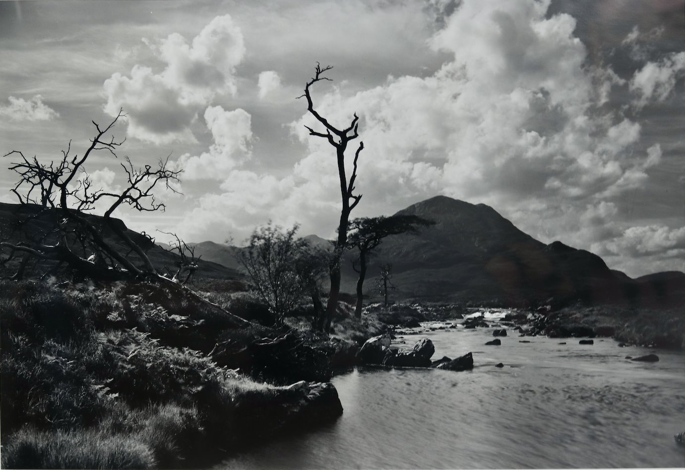 John McWilliams, Scotland