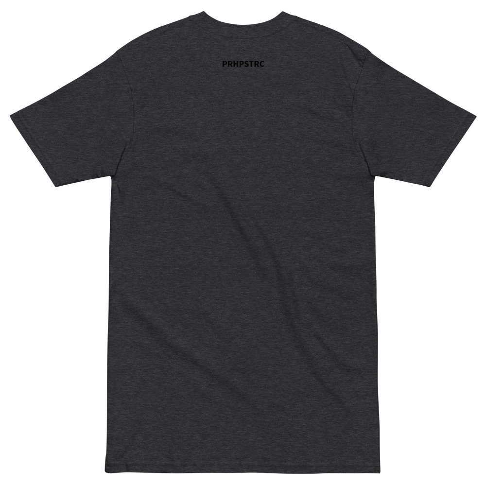 mens-premium-heavyweight-tee-charcoal-heather-back-64529c6ba18e4.jpeg