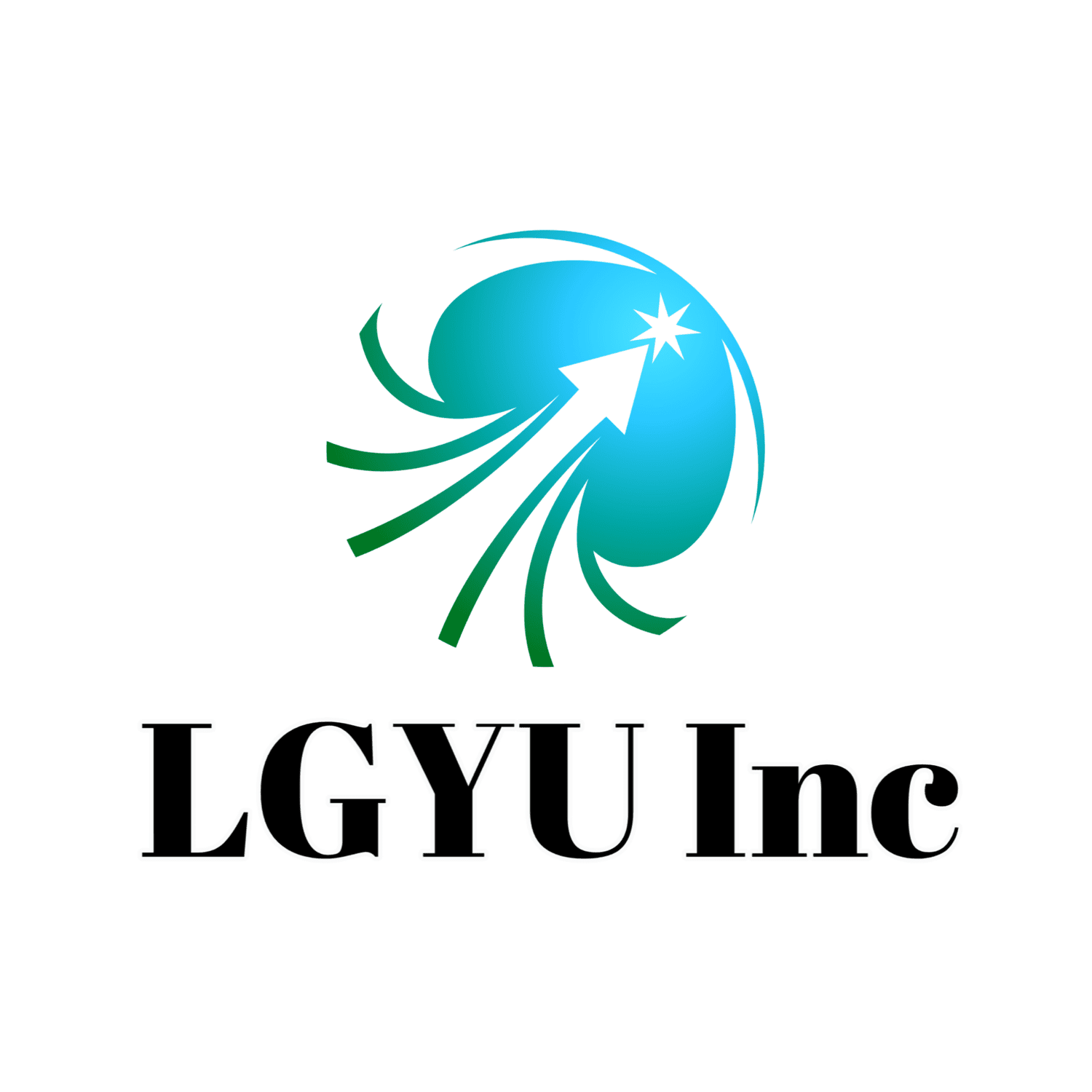 LGYU Inc