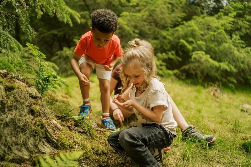 forest ranger events at garwnant