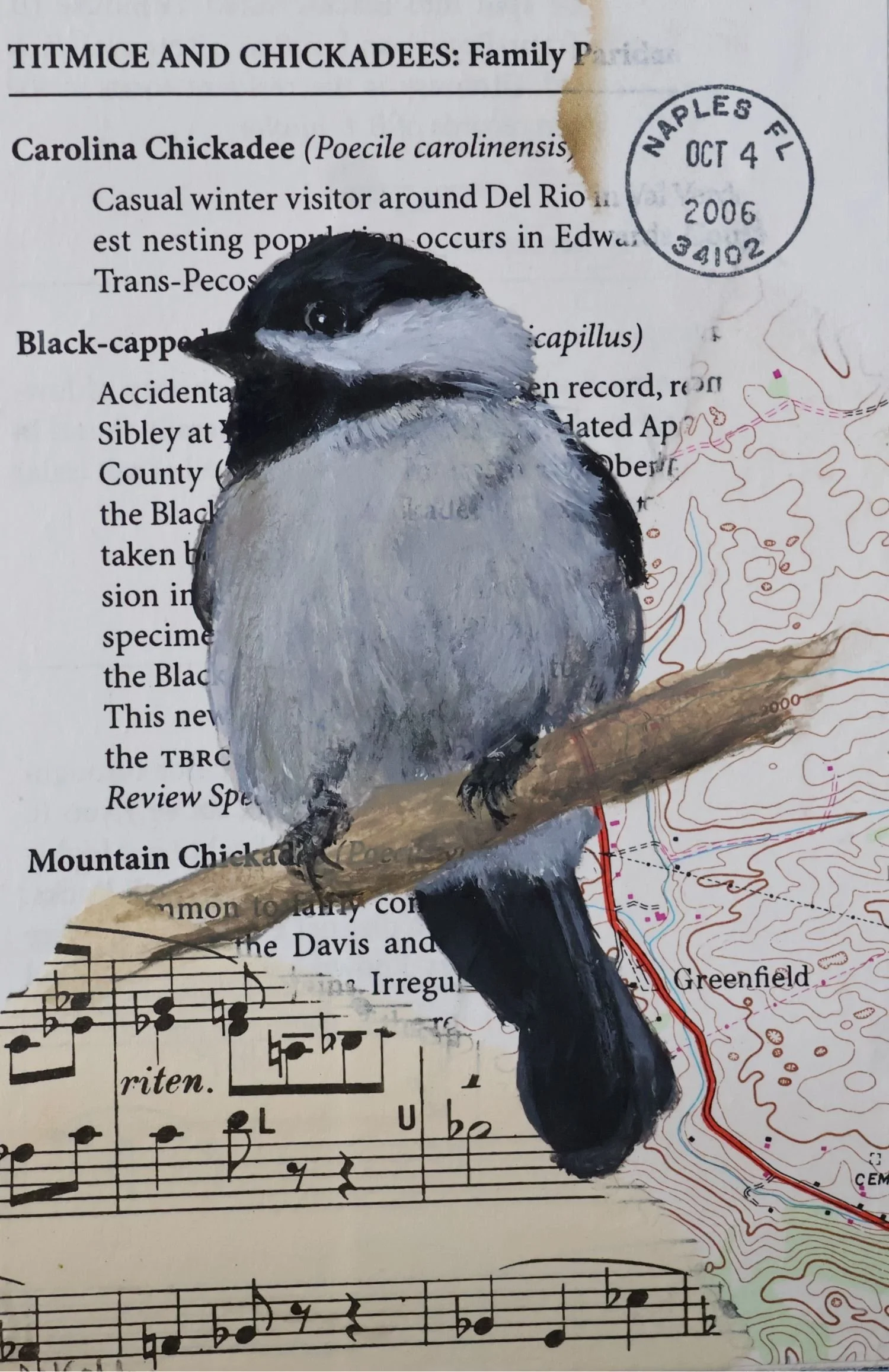 Chickadee Memory -
Collage and Acrylic on Birch Panel -
6" x 4"