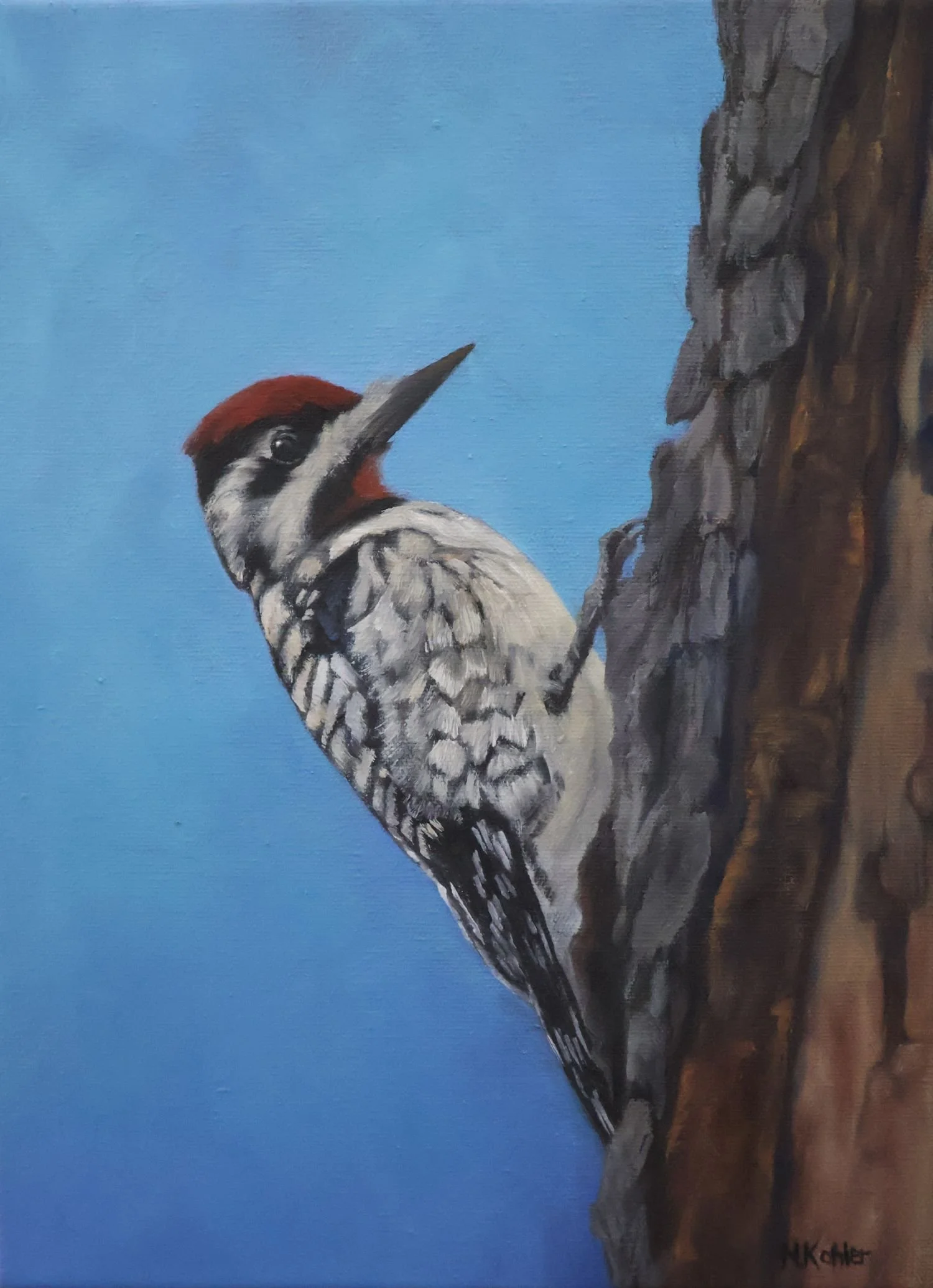 Morning Sapsucker -
Series: Native Birds of the Eastern US -
Oil on Canvas -
12" x 9"


