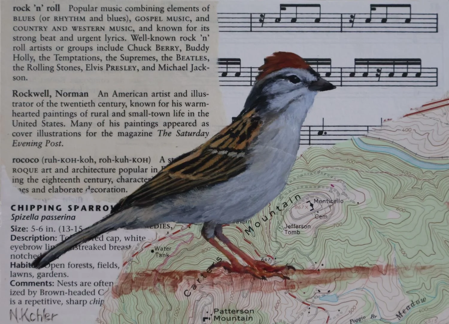 Spizella -
Collage and Natural Acrylic on Birch Panel -
5" x 7"