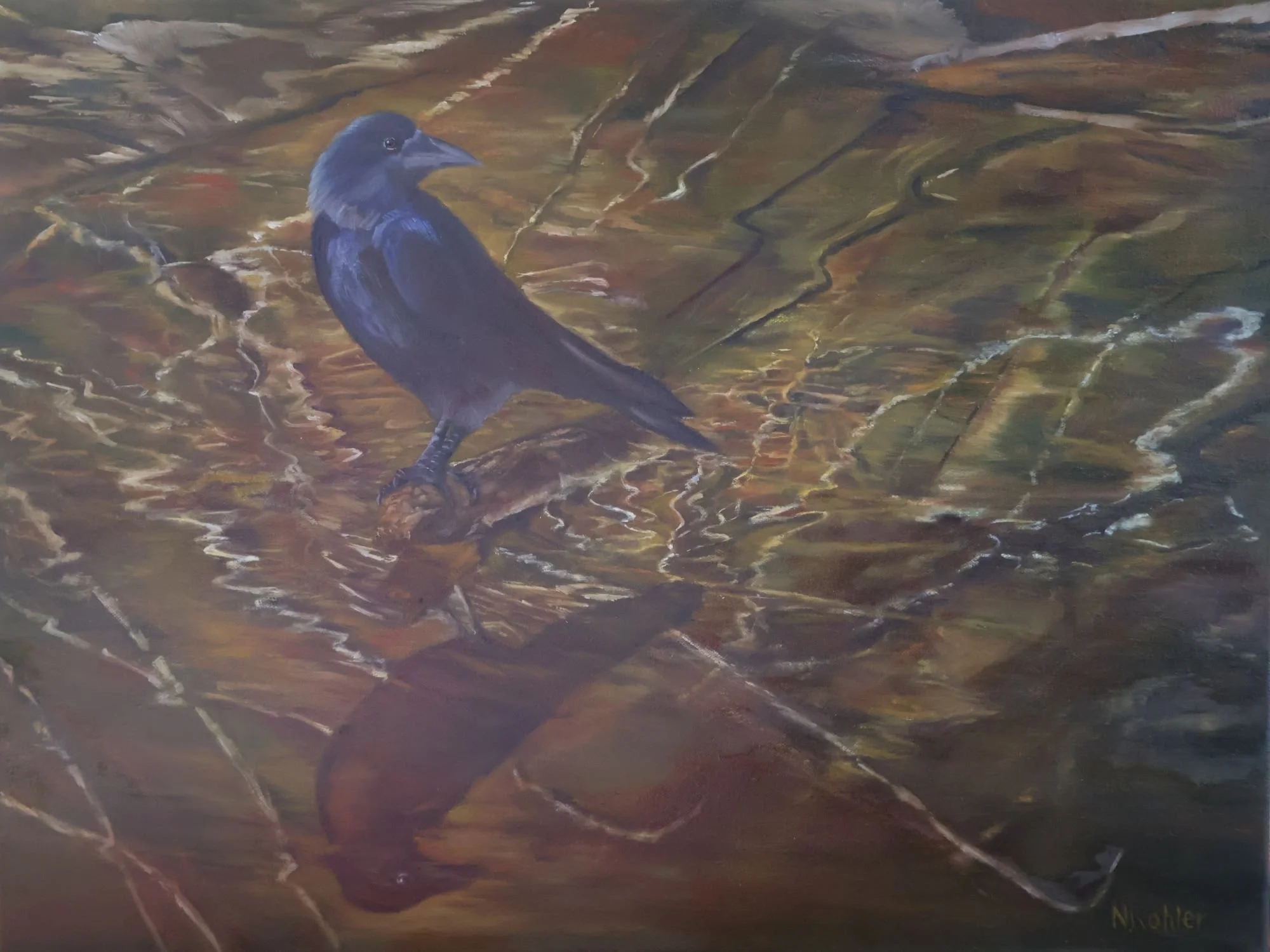 Crow Reflection -
Series: Native Birds of the Eastern US -
Oil on Canvas -
!8" x 24"