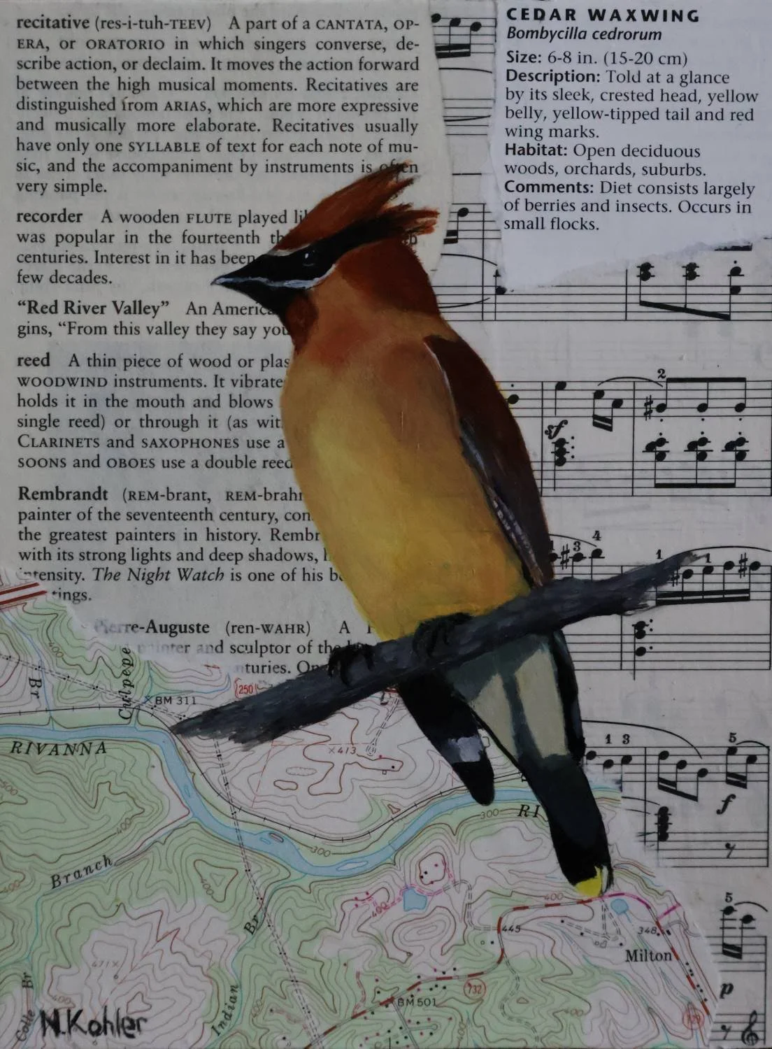Berry Bandit -
Collage and Natural Acrylic on Birch Panel -
8" x 6"