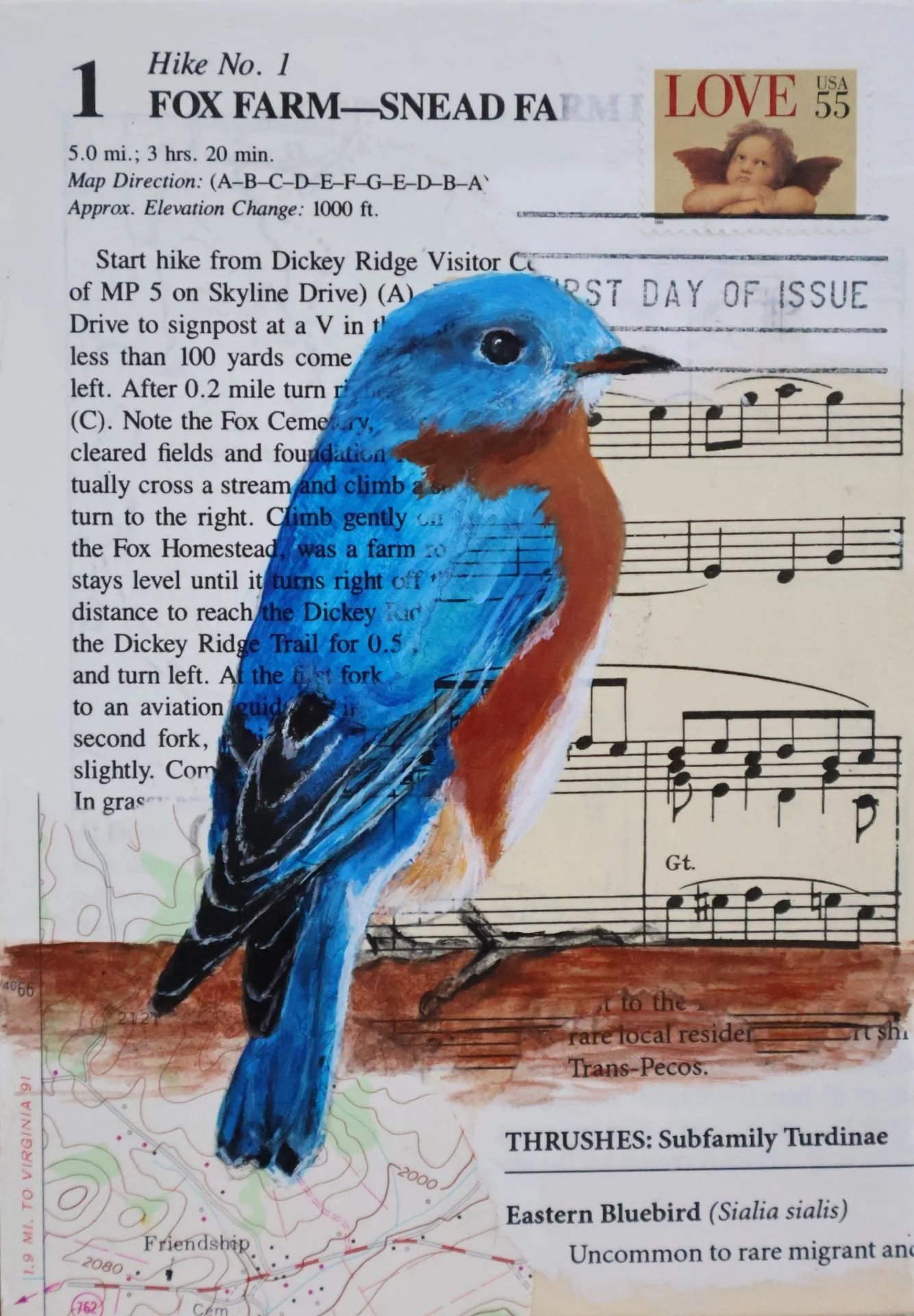 Hike No. 1 - Eastern Bluebird -
Collage and Acrylic on Birch Panel -
7" x 5"