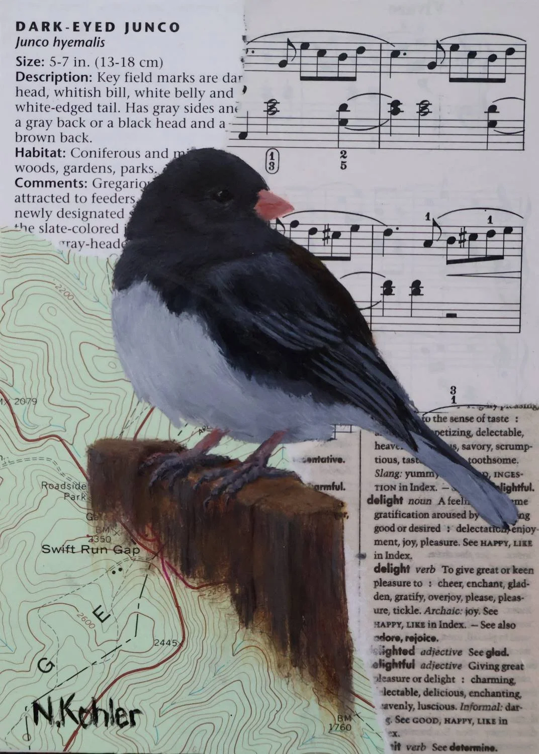 Junco Delight -
Collage and Natural Acrylic on Birch Panel -
7' x 5"